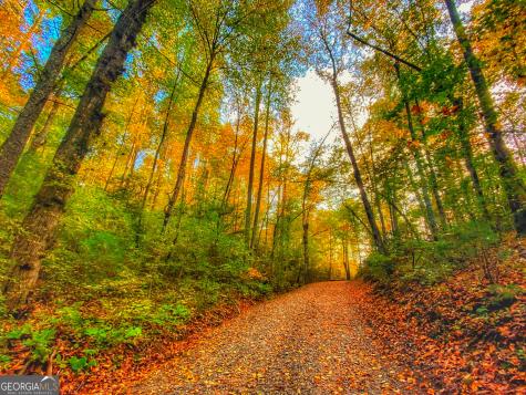 500 Big Sky Trail Dahlonega GA 30533