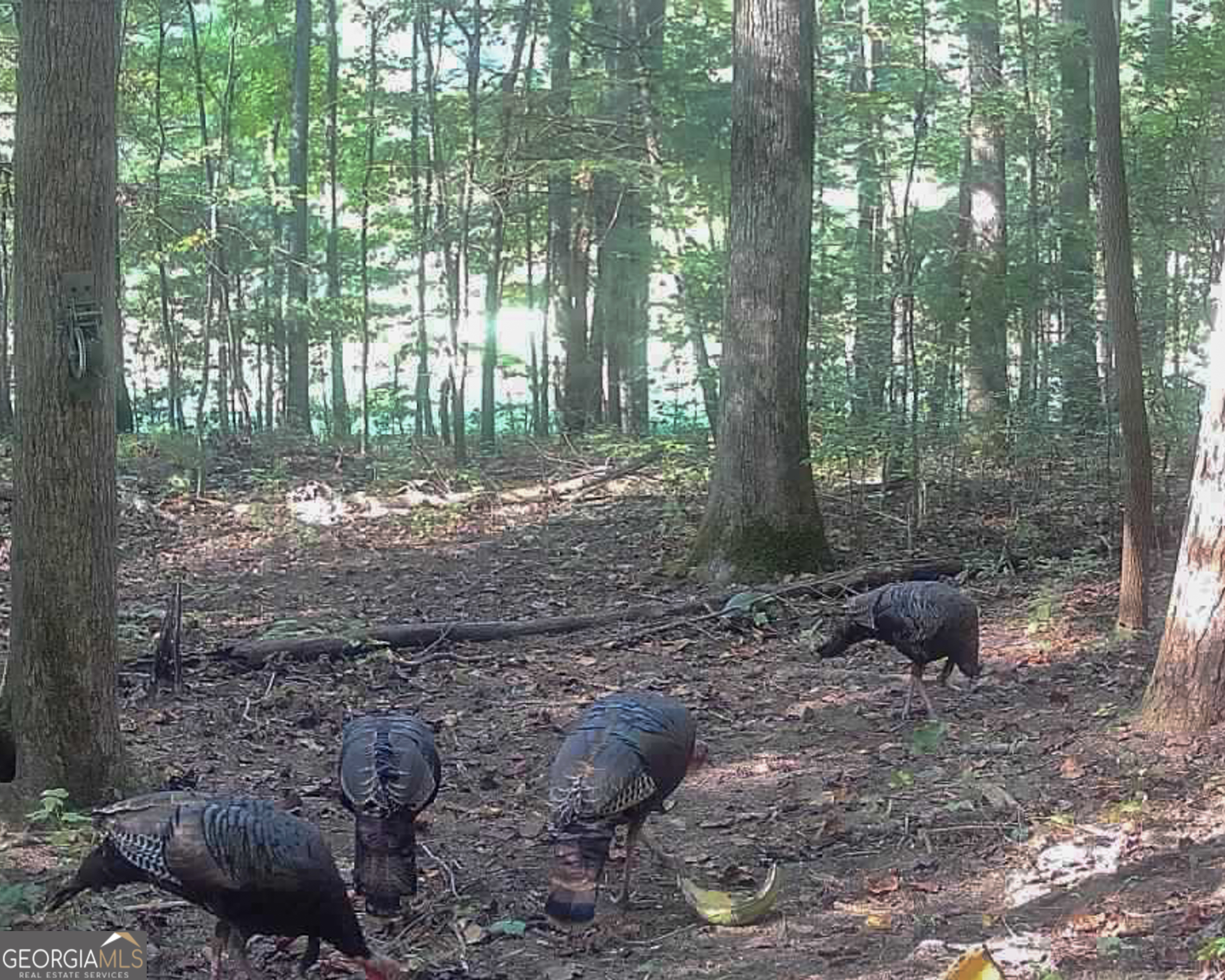 500 Big Sky Trail Dahlonega GA 30533
