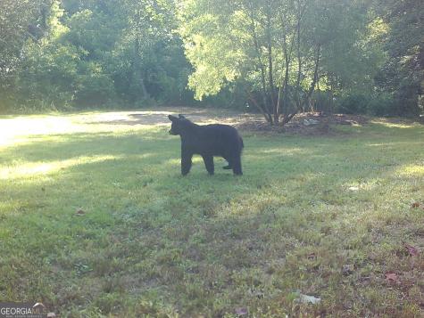 500 Big Sky Trail Dahlonega GA 30533