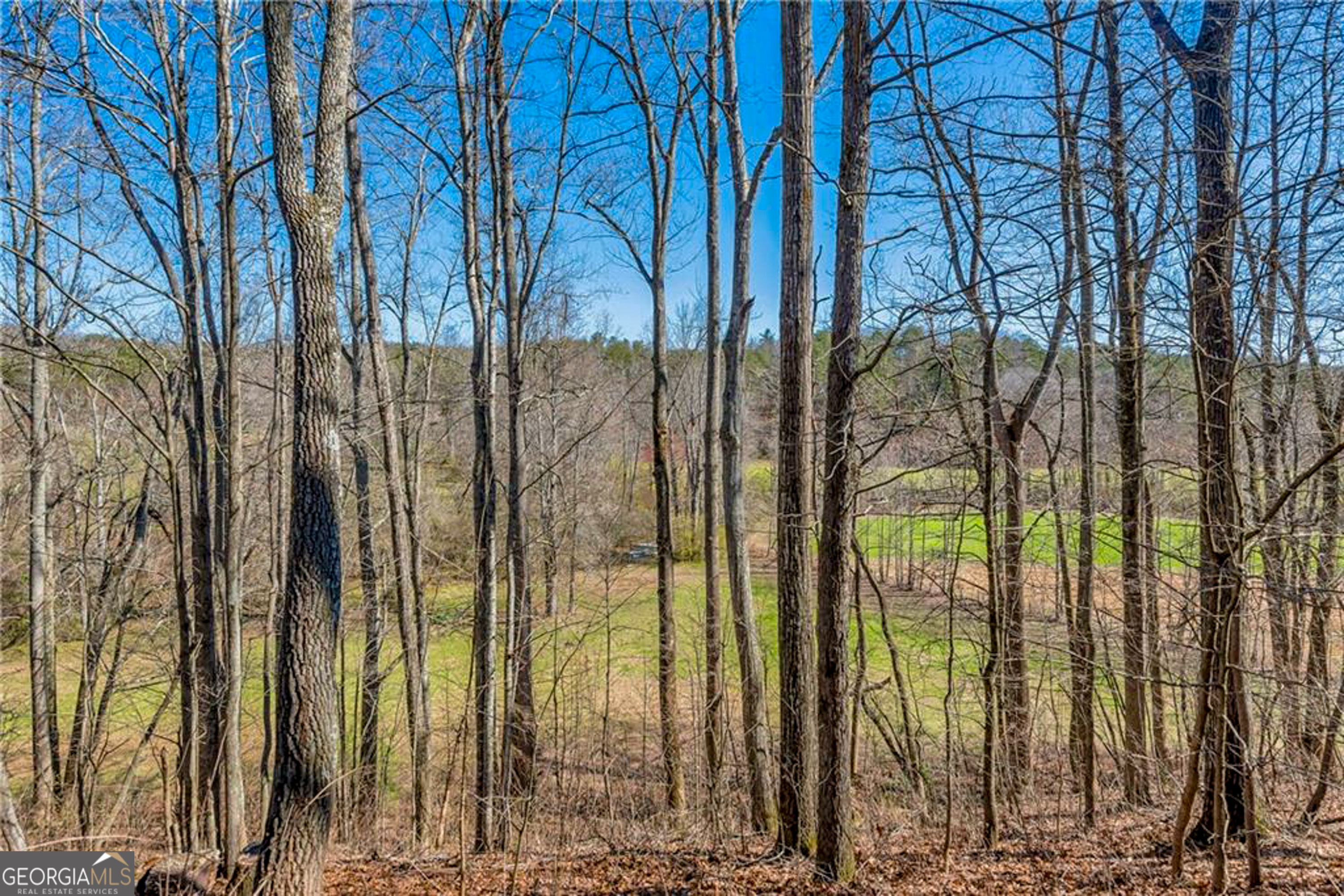 500 Big Sky Trail Dahlonega GA 30533