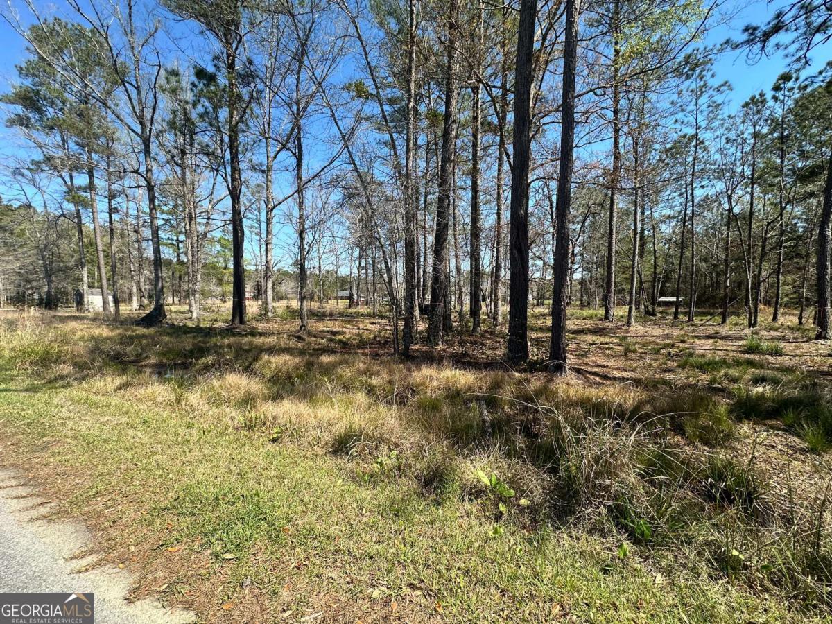 102 Trail South Midway GA 31320