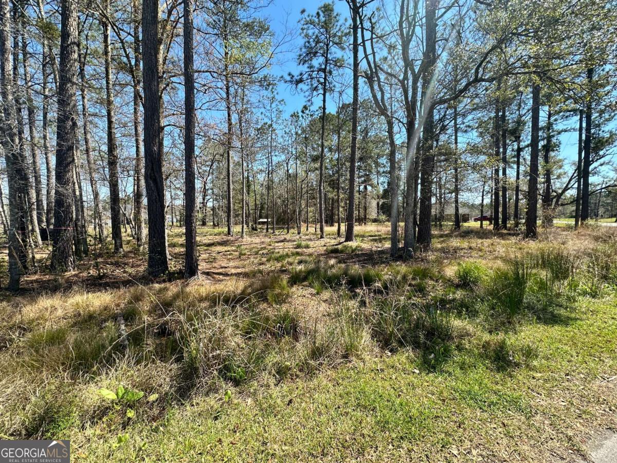 102 Trail South Midway GA 31320