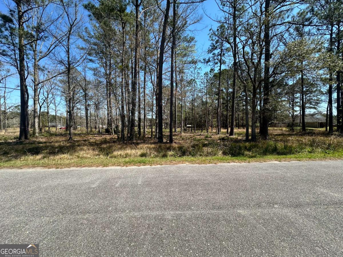 102 Trail South Midway GA 31320