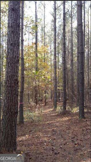 1047 Ponder Trammell Road Juliette GA 31046