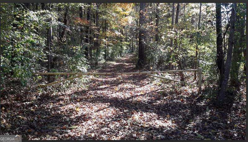 1047 Ponder Trammell Road Juliette GA 31046