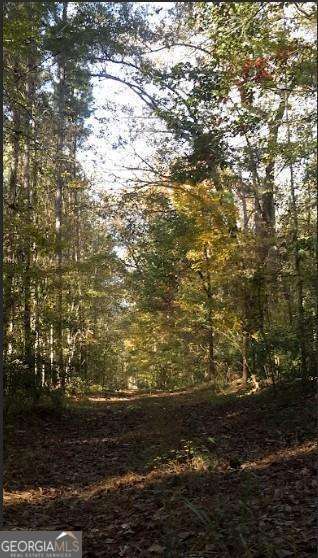 1047 Ponder Trammell Road Juliette GA 31046