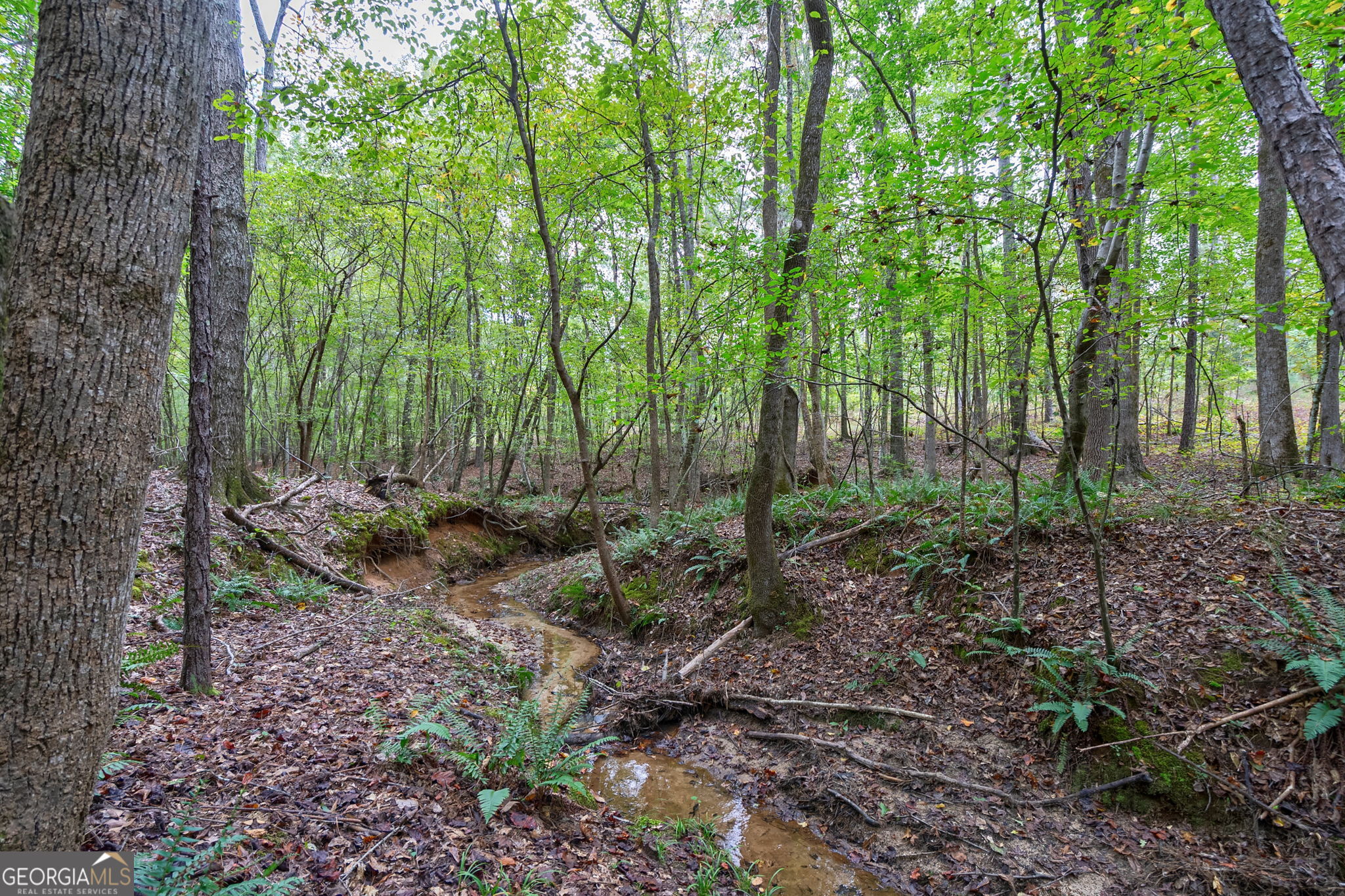 0 Lower Wirebridge Road Stephens GA 30667