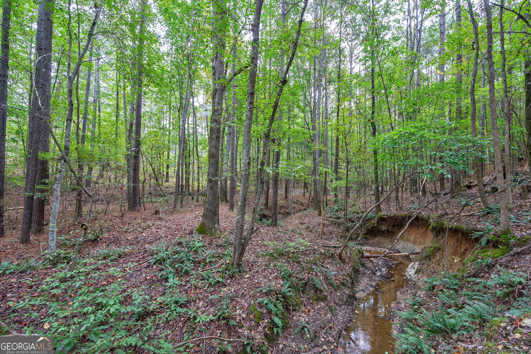 0 Lower Wirebridge Road Stephens GA 30667
