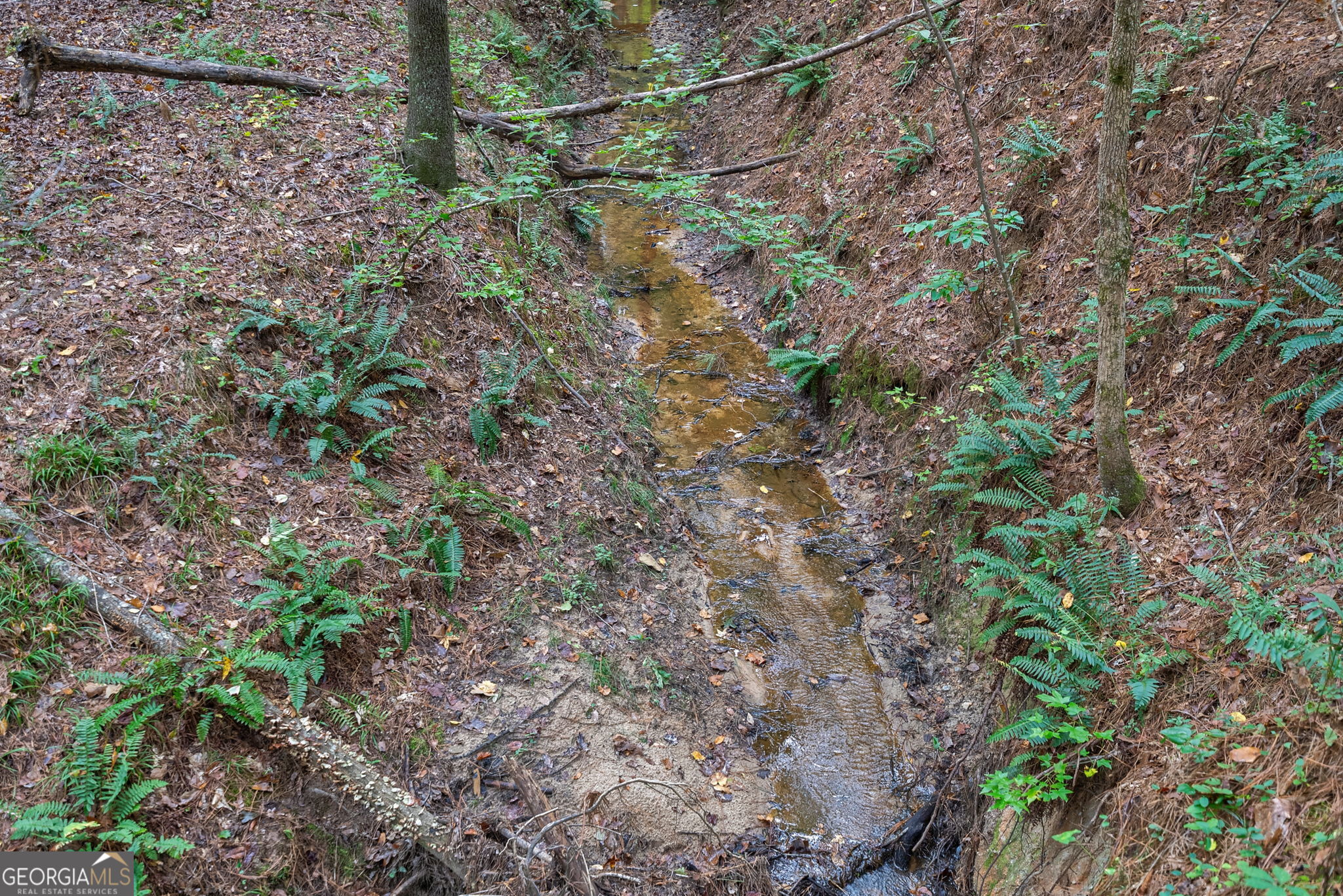 0 Lower Wirebridge Road Stephens GA 30667