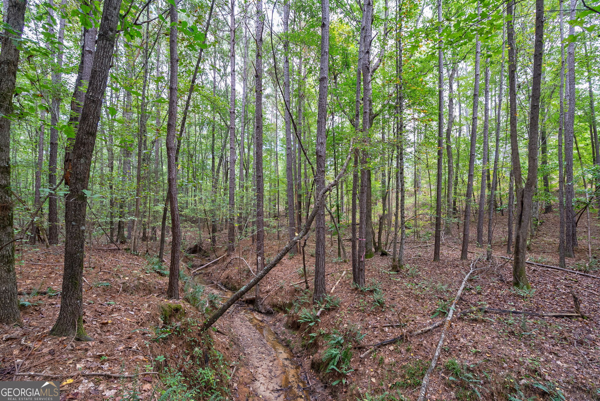 0 Lower Wirebridge Road Stephens GA 30667
