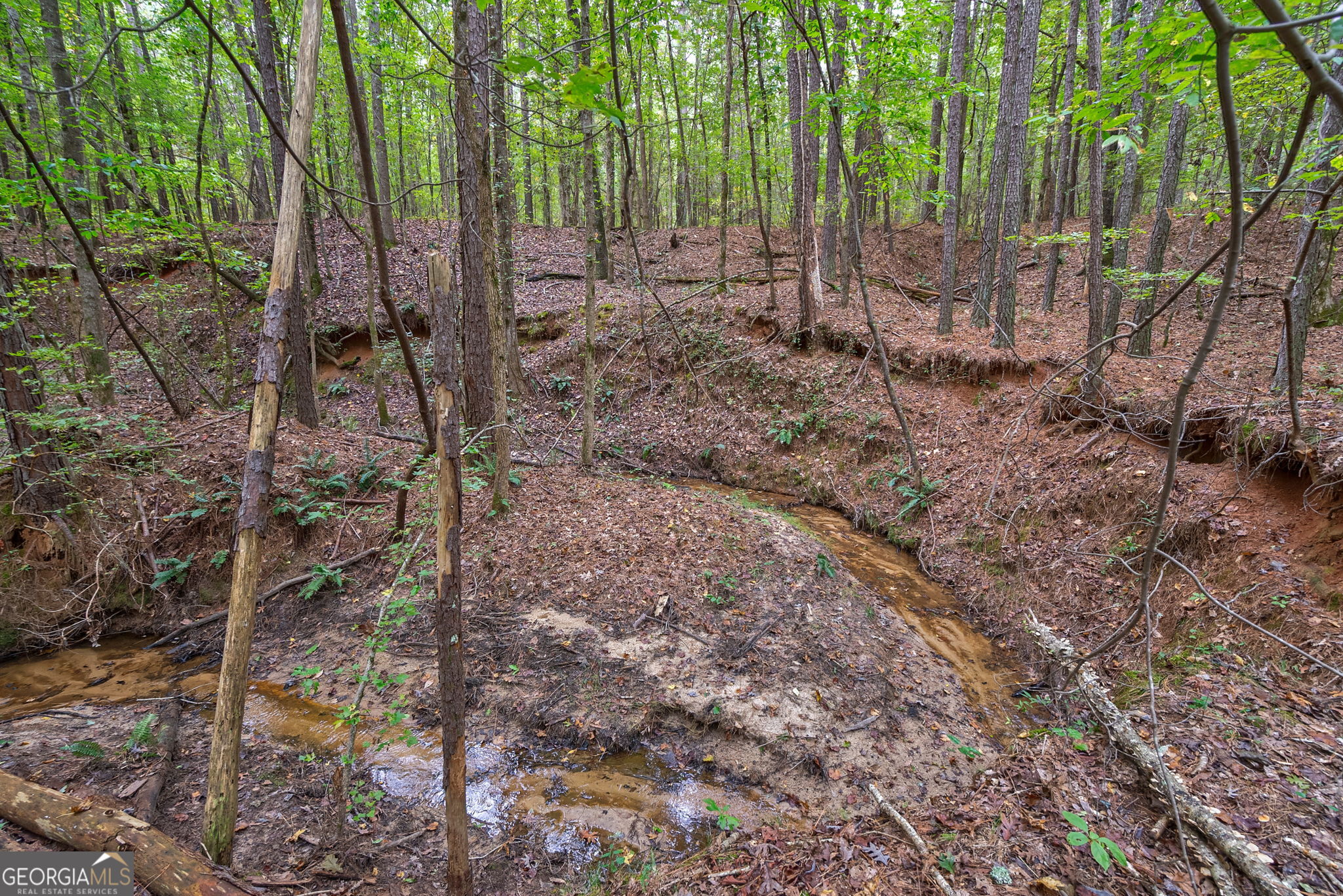 0 Lower Wirebridge Road Stephens GA 30667