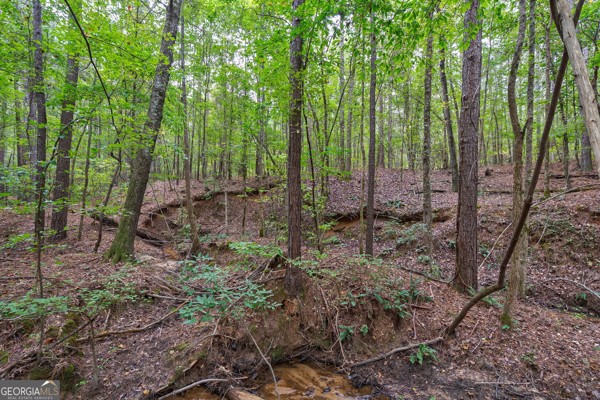 0 Lower Wirebridge Road Stephens GA 30667