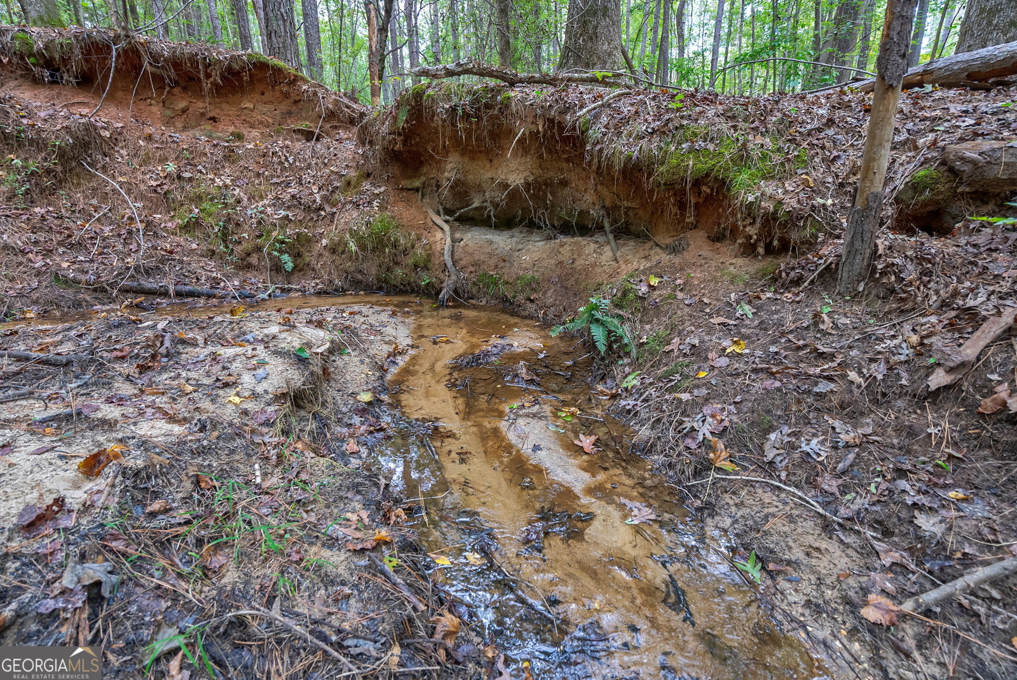 0 Lower Wirebridge Road Stephens GA 30667