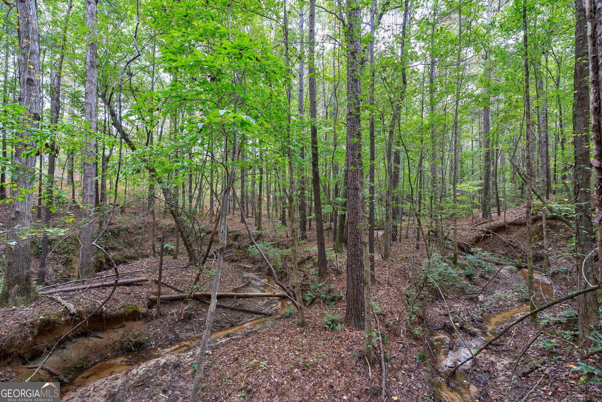 0 Lower Wirebridge Road Stephens GA 30667
