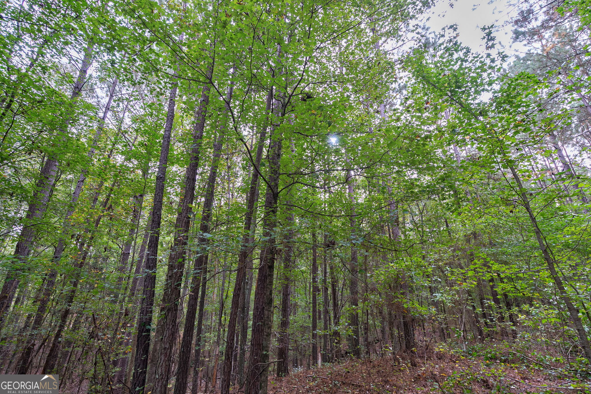 0 Lower Wirebridge Road Stephens GA 30667