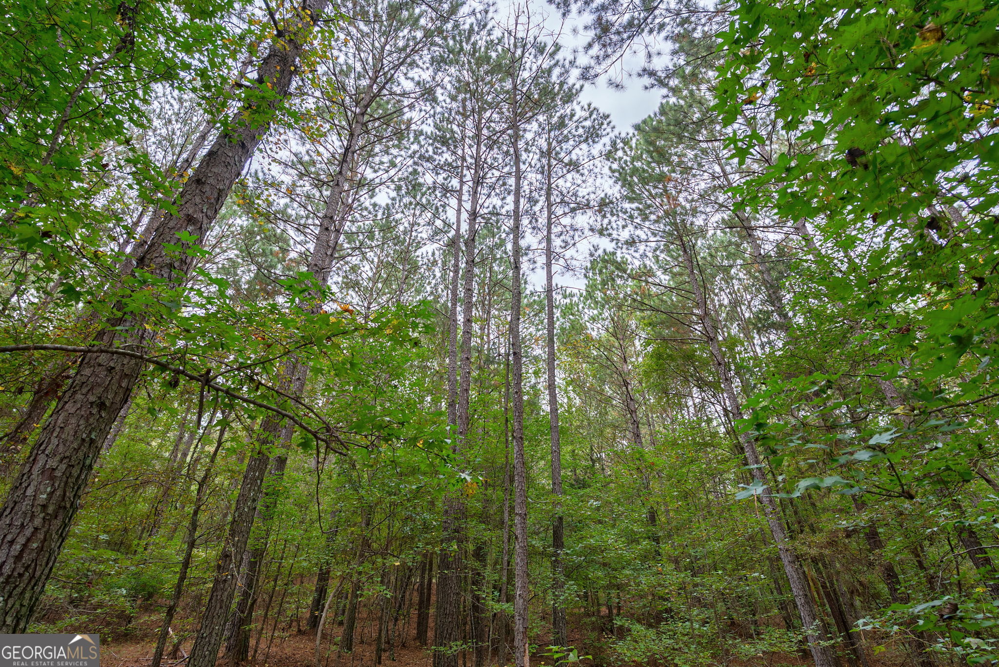 0 Lower Wirebridge Road Stephens GA 30667