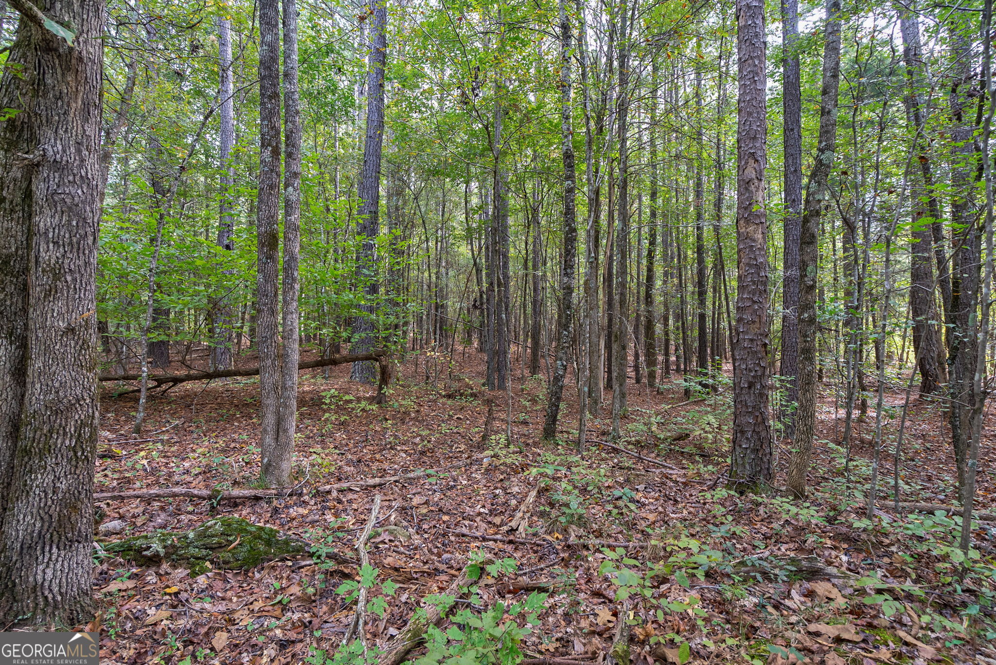 0 Lower Wirebridge Road Stephens GA 30667