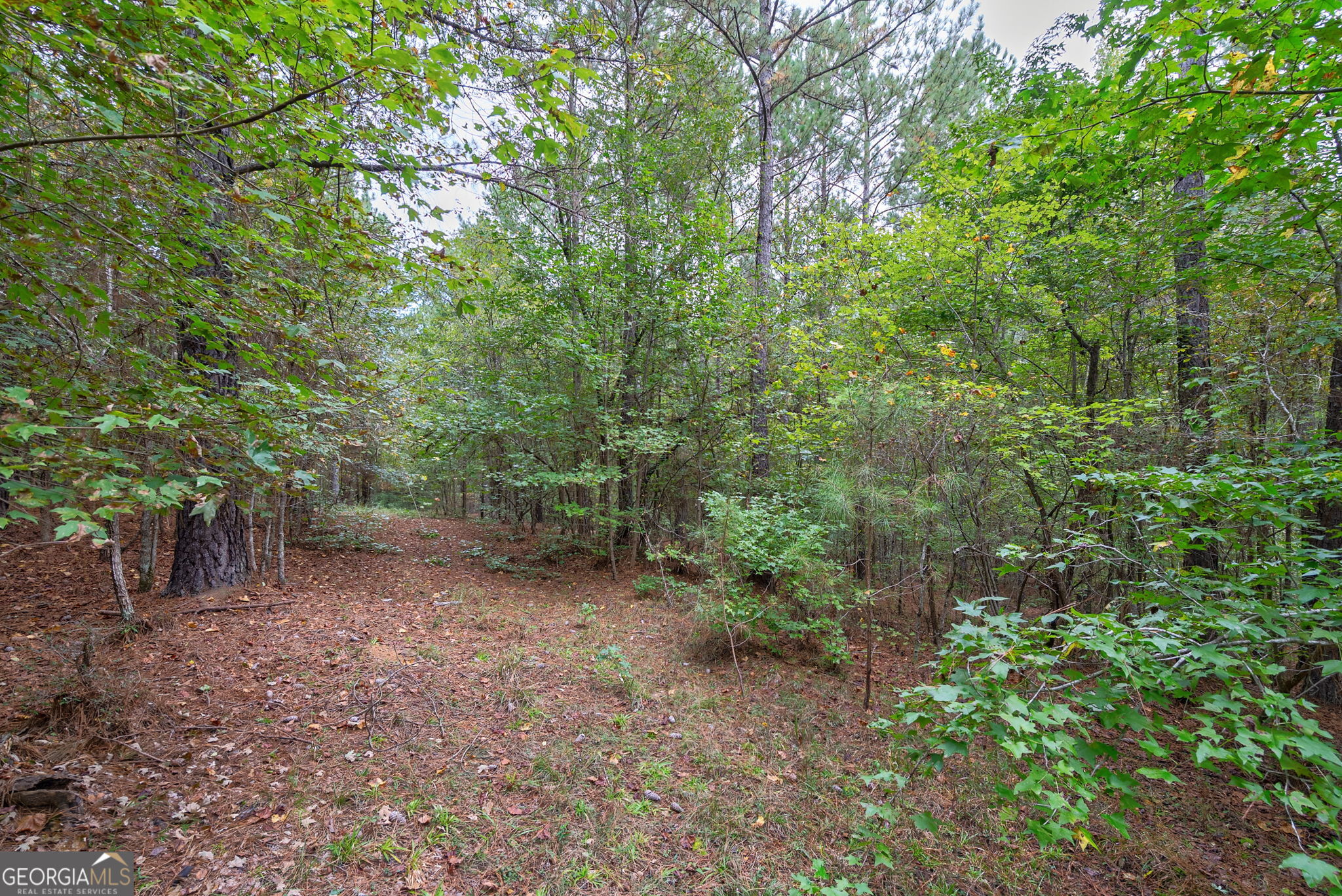 0 Lower Wirebridge Road Stephens GA 30667