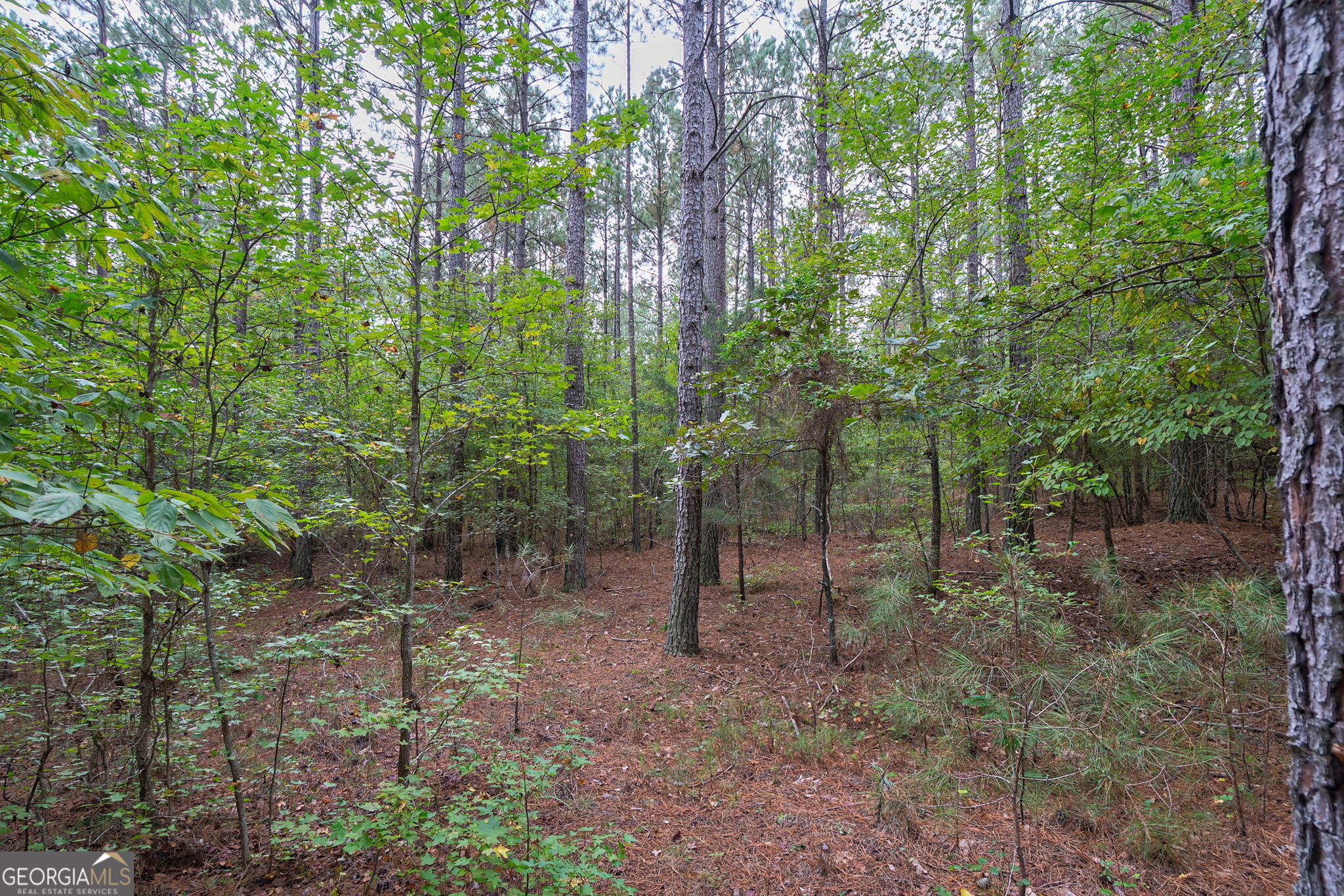 0 Lower Wirebridge Road Stephens GA 30667
