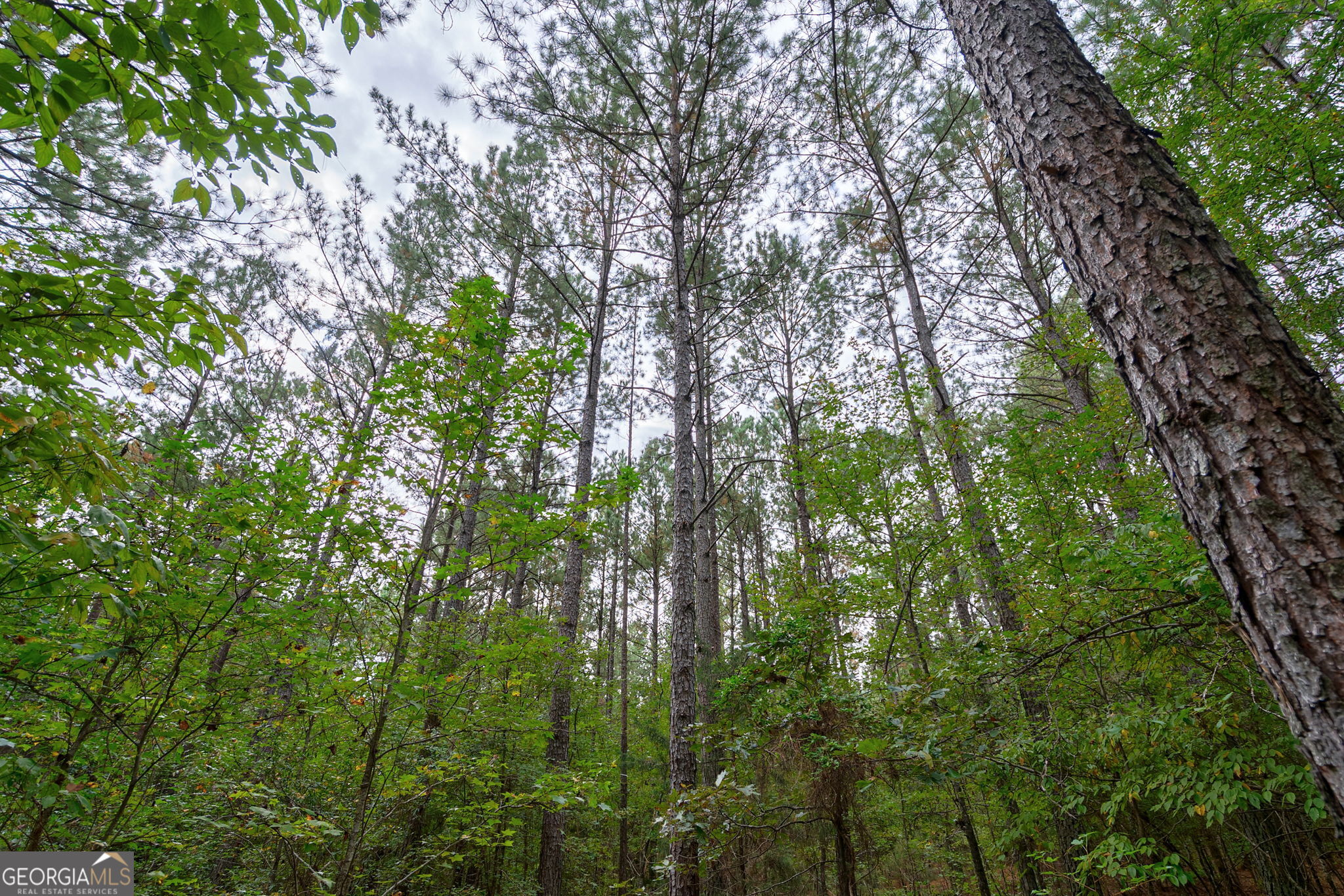 0 Lower Wirebridge Road Stephens GA 30667