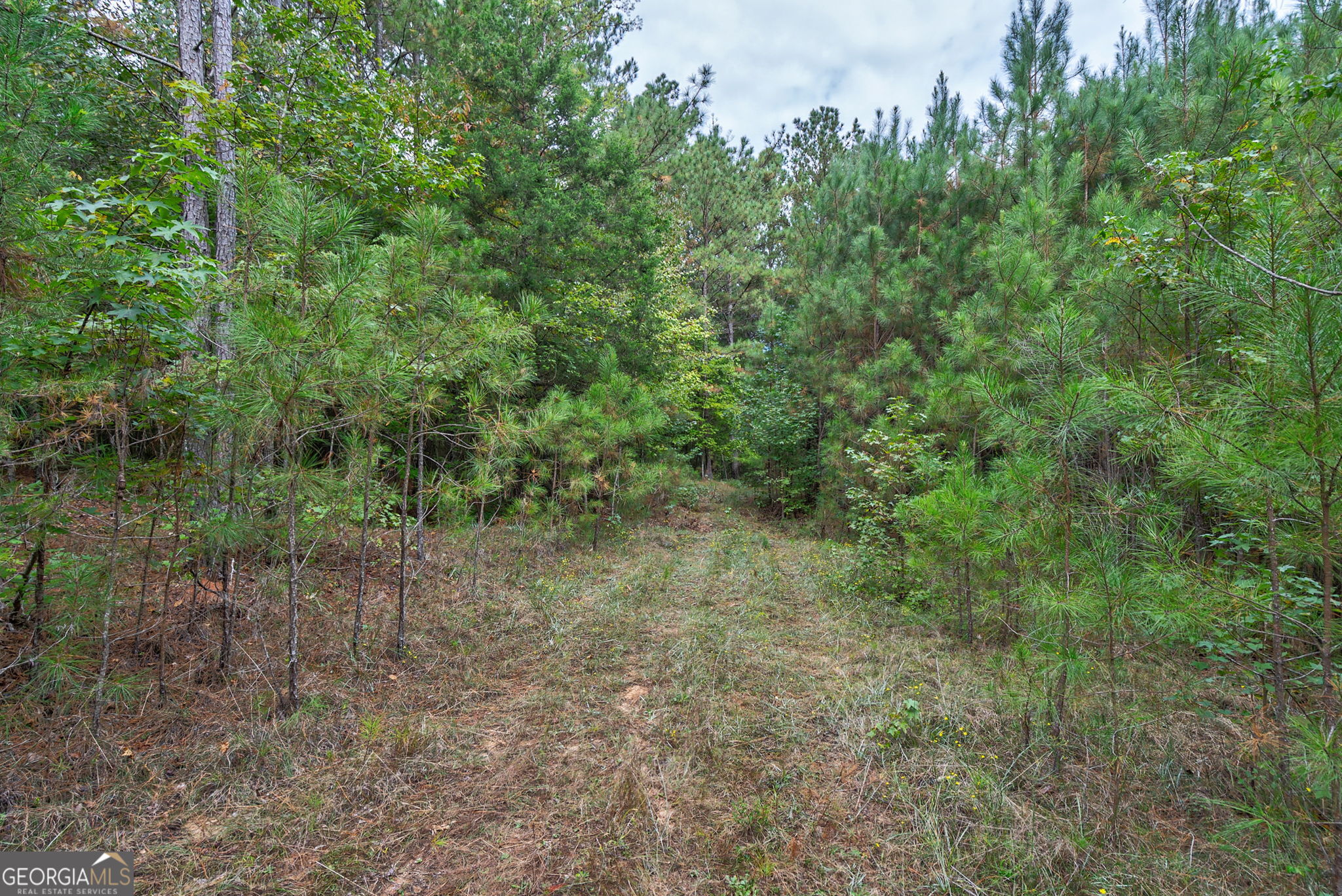 0 Lower Wirebridge Road Stephens GA 30667
