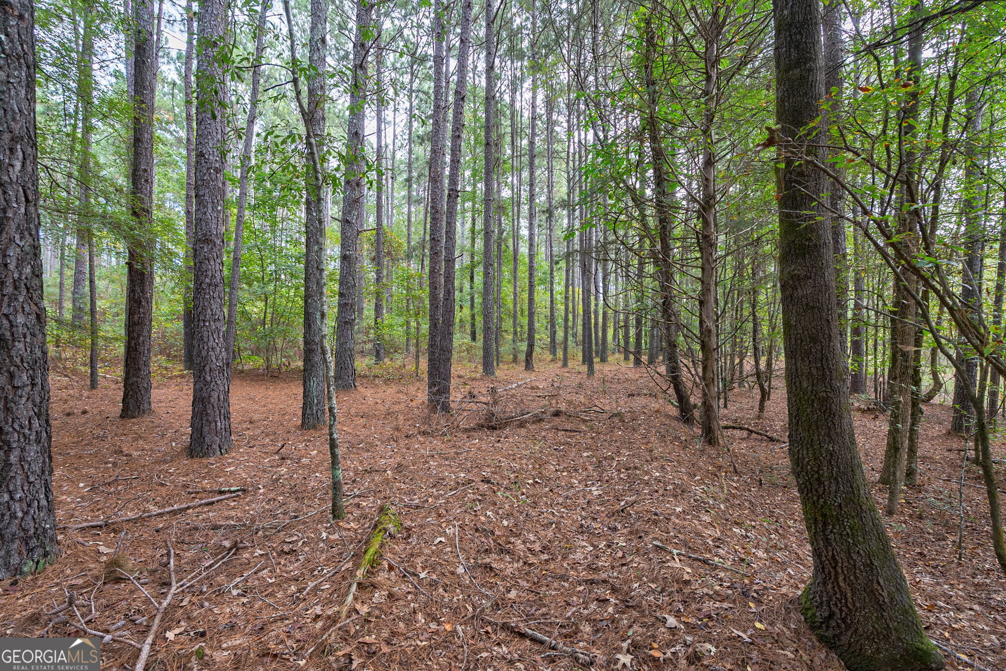 0 Lower Wirebridge Road Stephens GA 30667