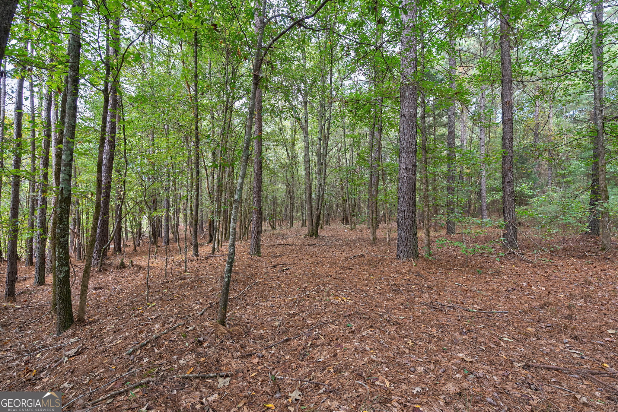 0 Lower Wirebridge Road Stephens GA 30667