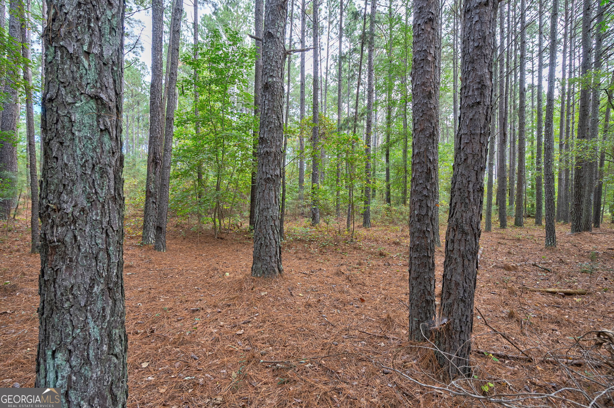 0 Lower Wirebridge Road Stephens GA 30667
