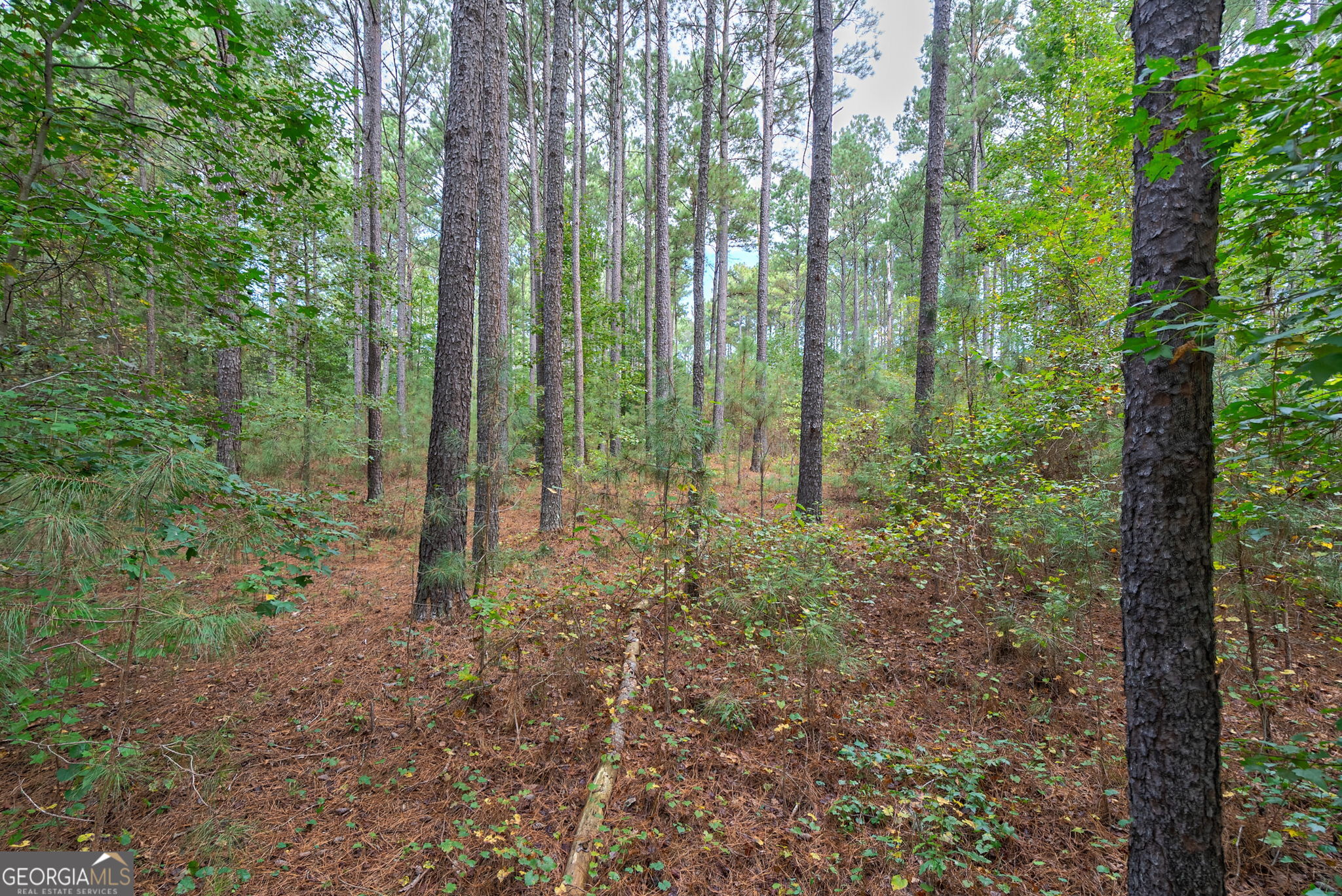 0 Lower Wirebridge Road Stephens GA 30667