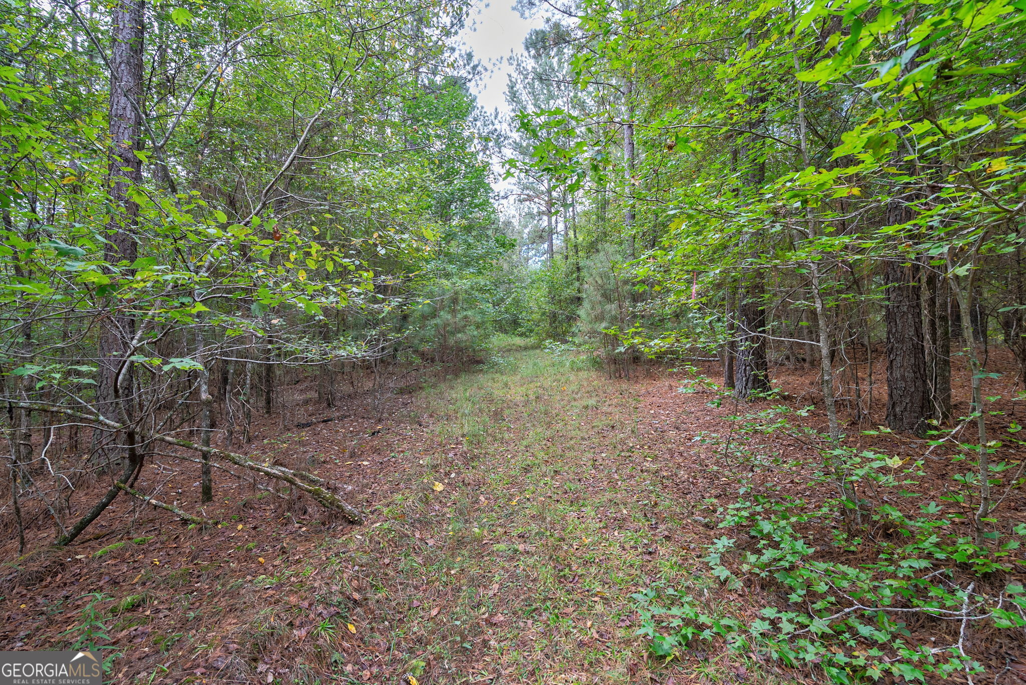 0 Lower Wirebridge Road Stephens GA 30667
