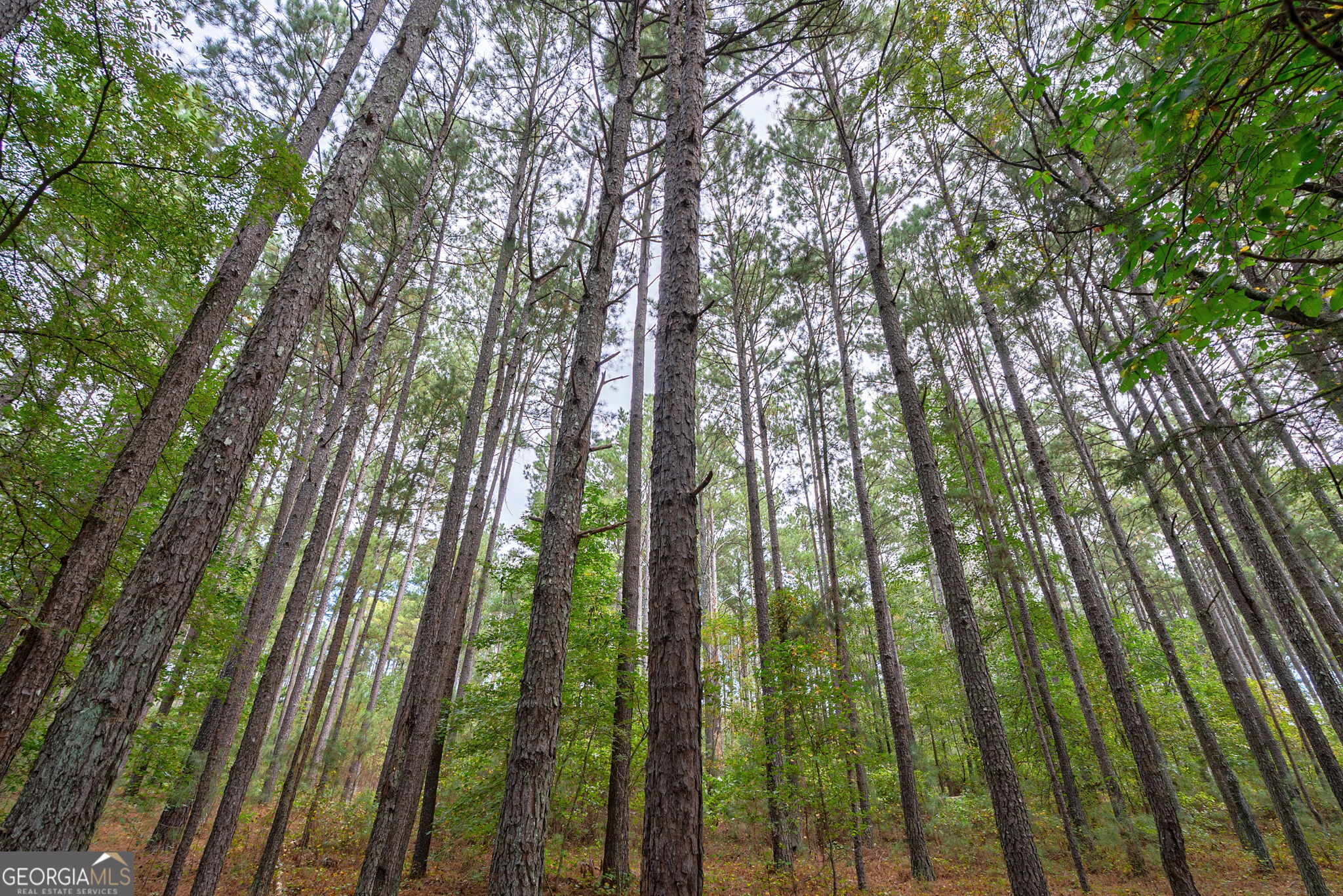 0 Lower Wirebridge Road Stephens GA 30667