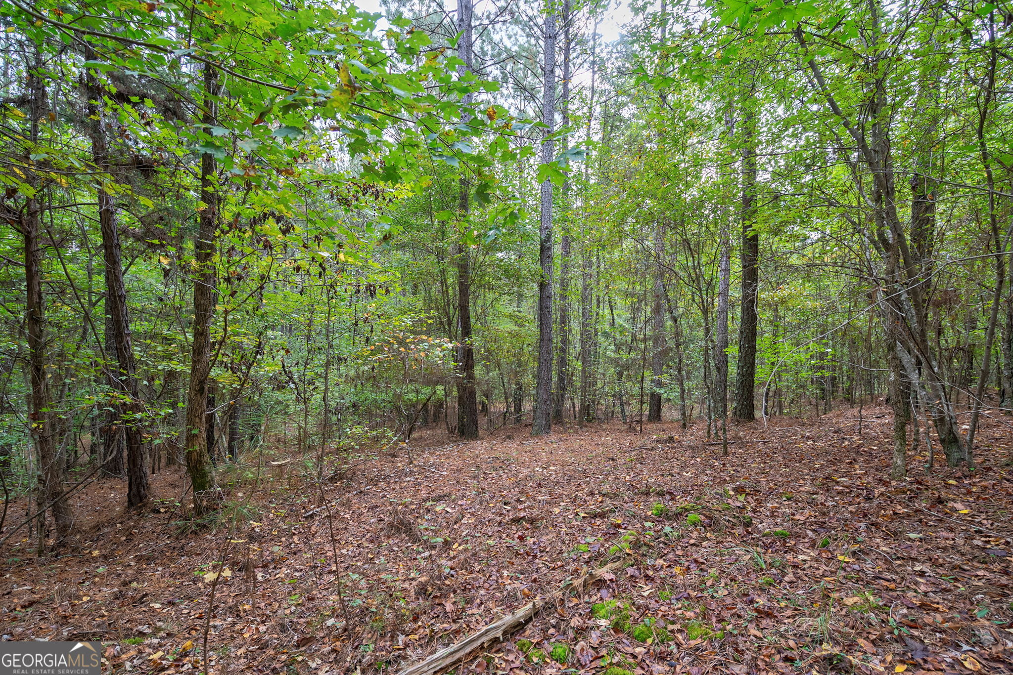 0 Lower Wirebridge Road Stephens GA 30667