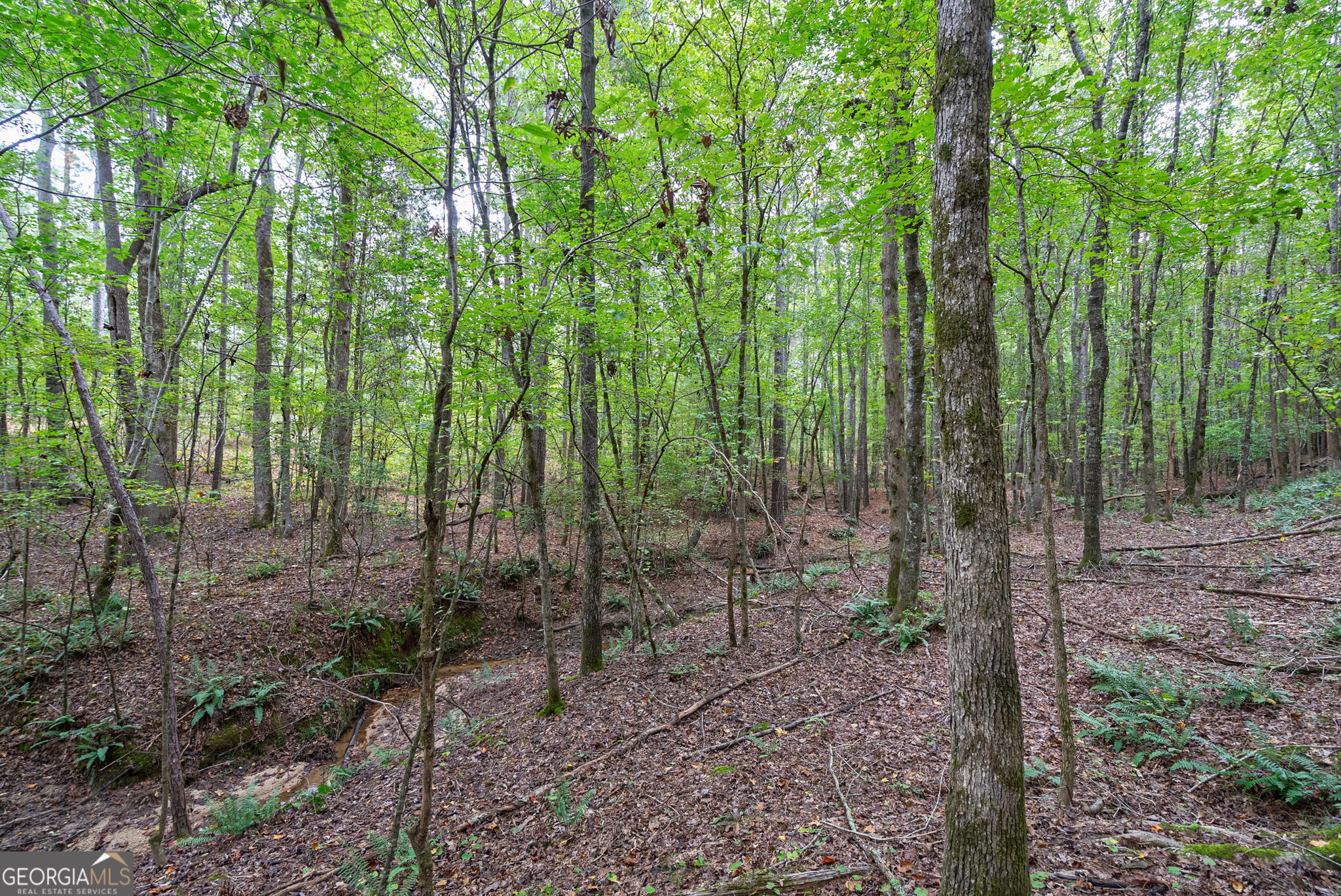 0 Lower Wirebridge Road Stephens GA 30667