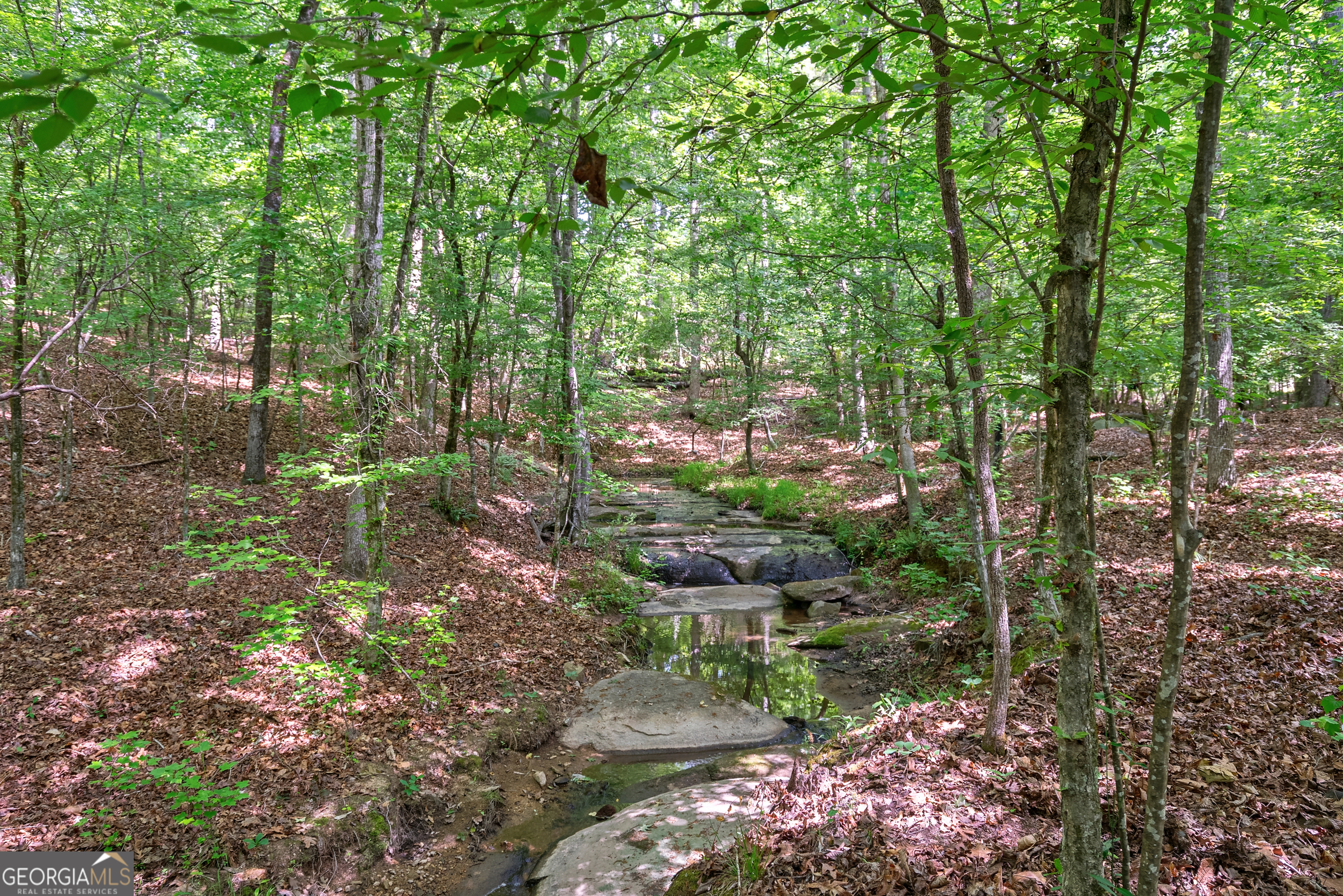 0 Gene Smith Road Carlton GA 30627