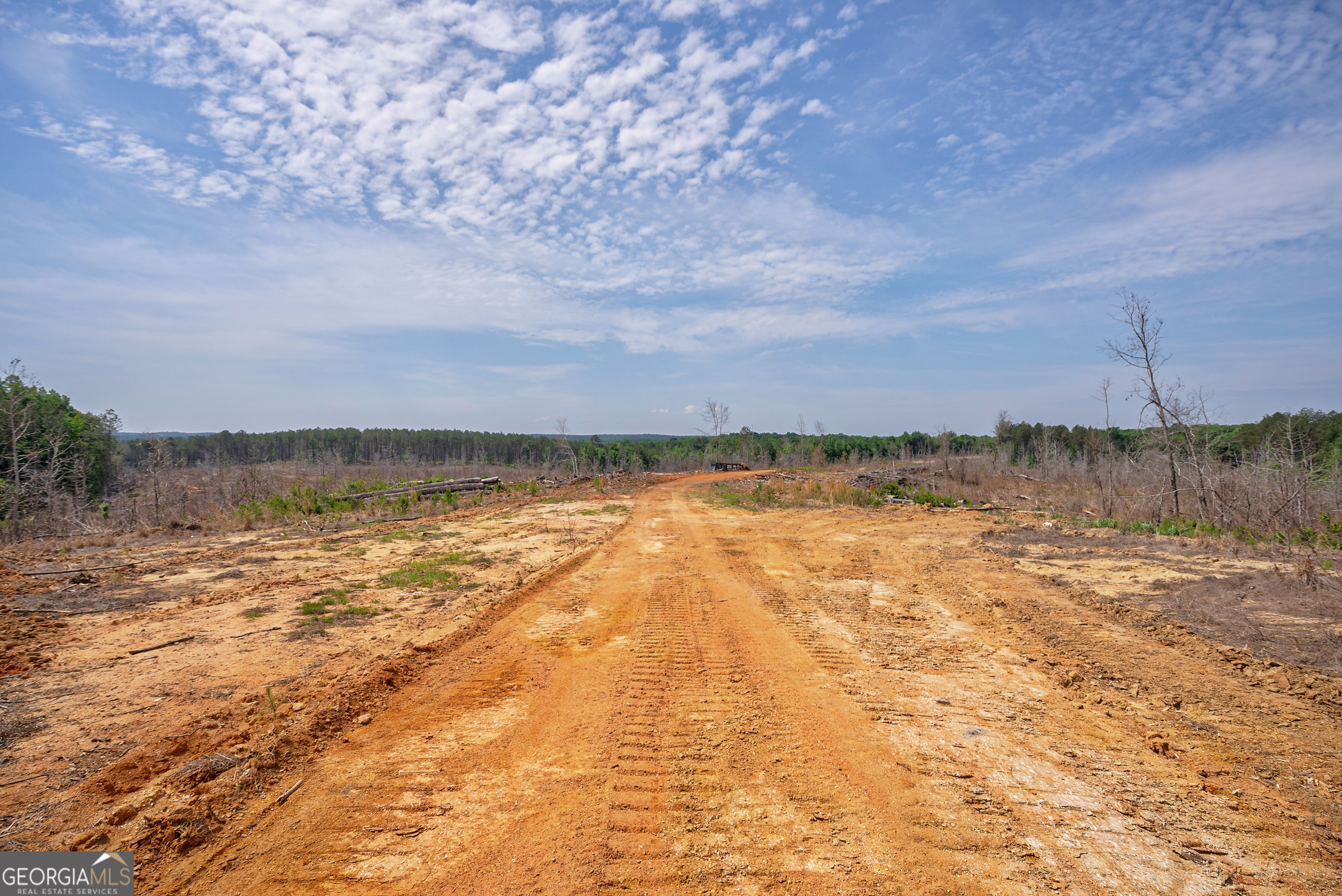0 Gene Smith Road Carlton GA 30627