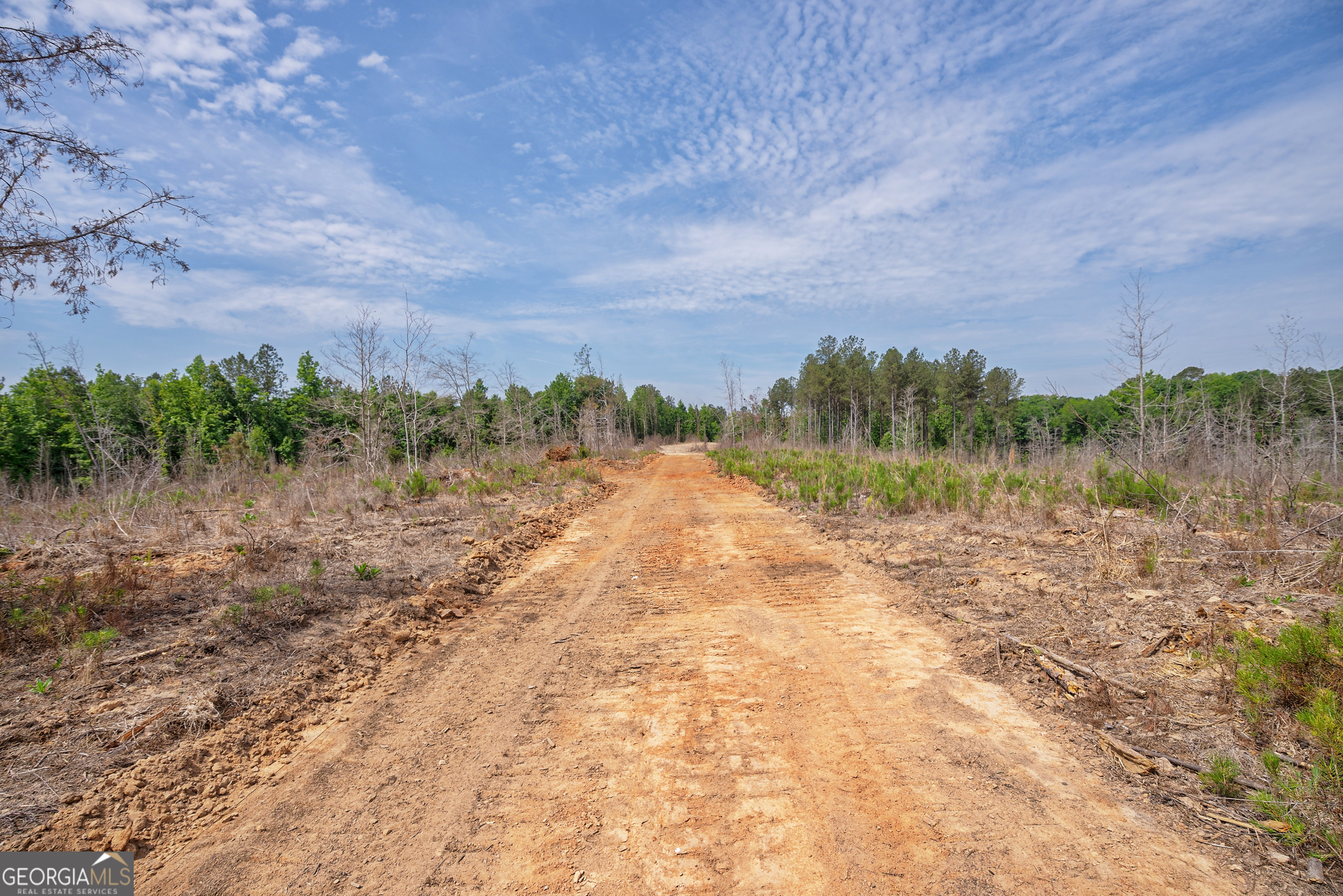0 Gene Smith Road Carlton GA 30627