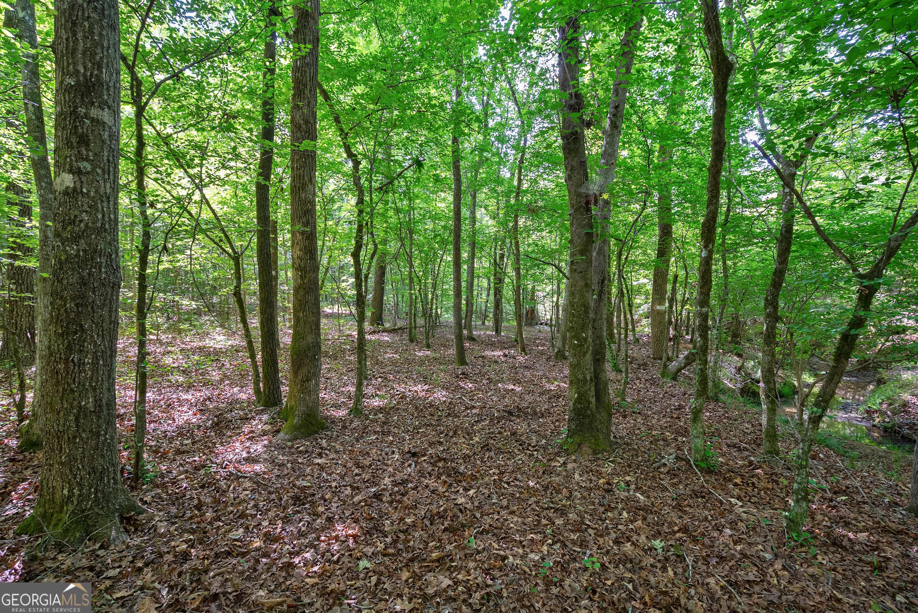 0 Gene Smith Road Carlton GA 30627
