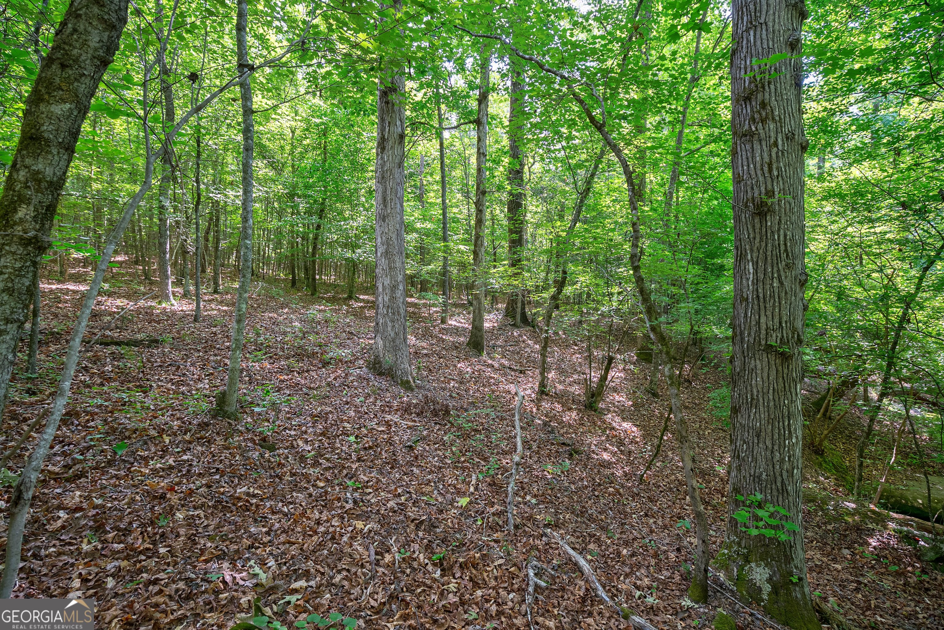 0 Gene Smith Road Carlton GA 30627