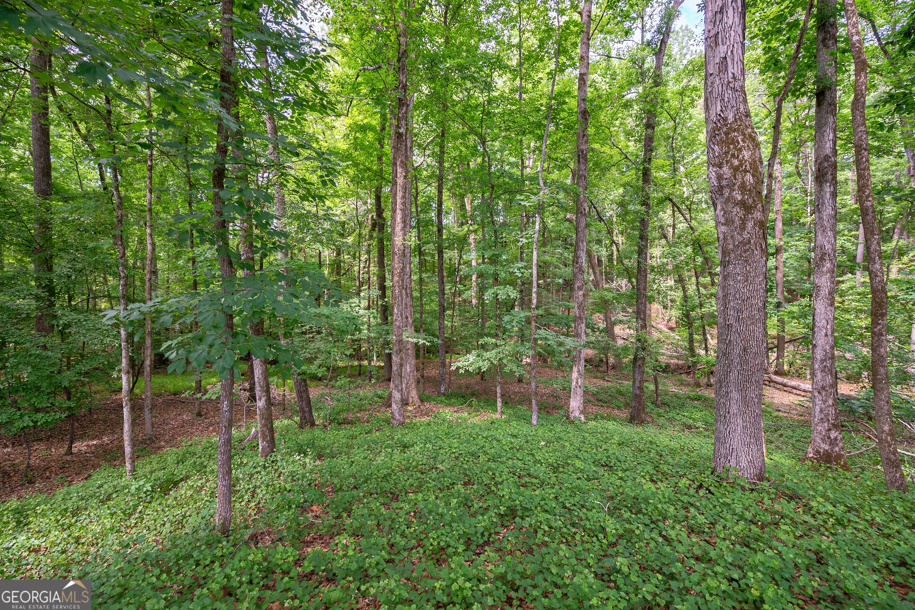 0 Gene Smith Road Carlton GA 30627