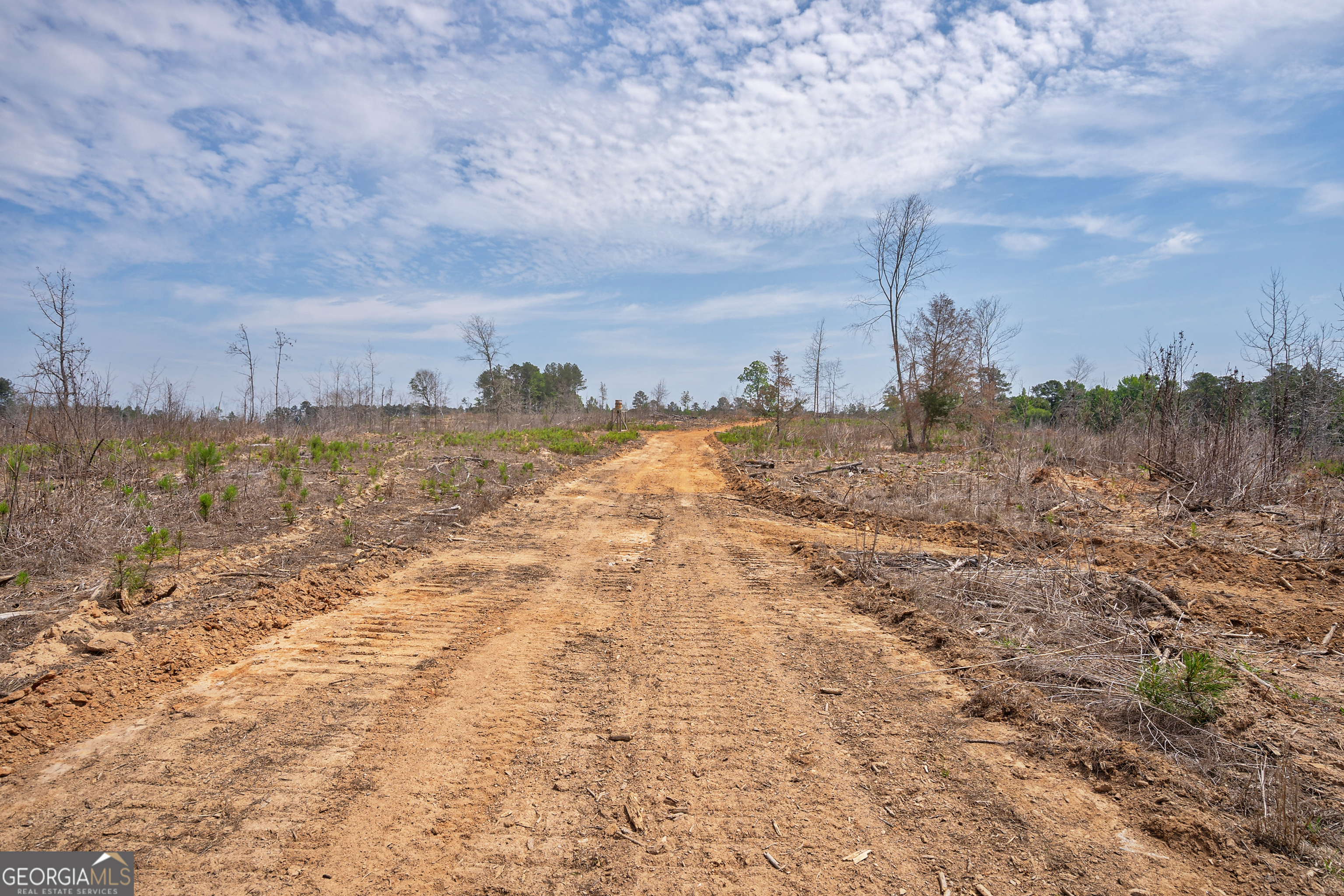 0 Gene Smith Road Carlton GA 30627