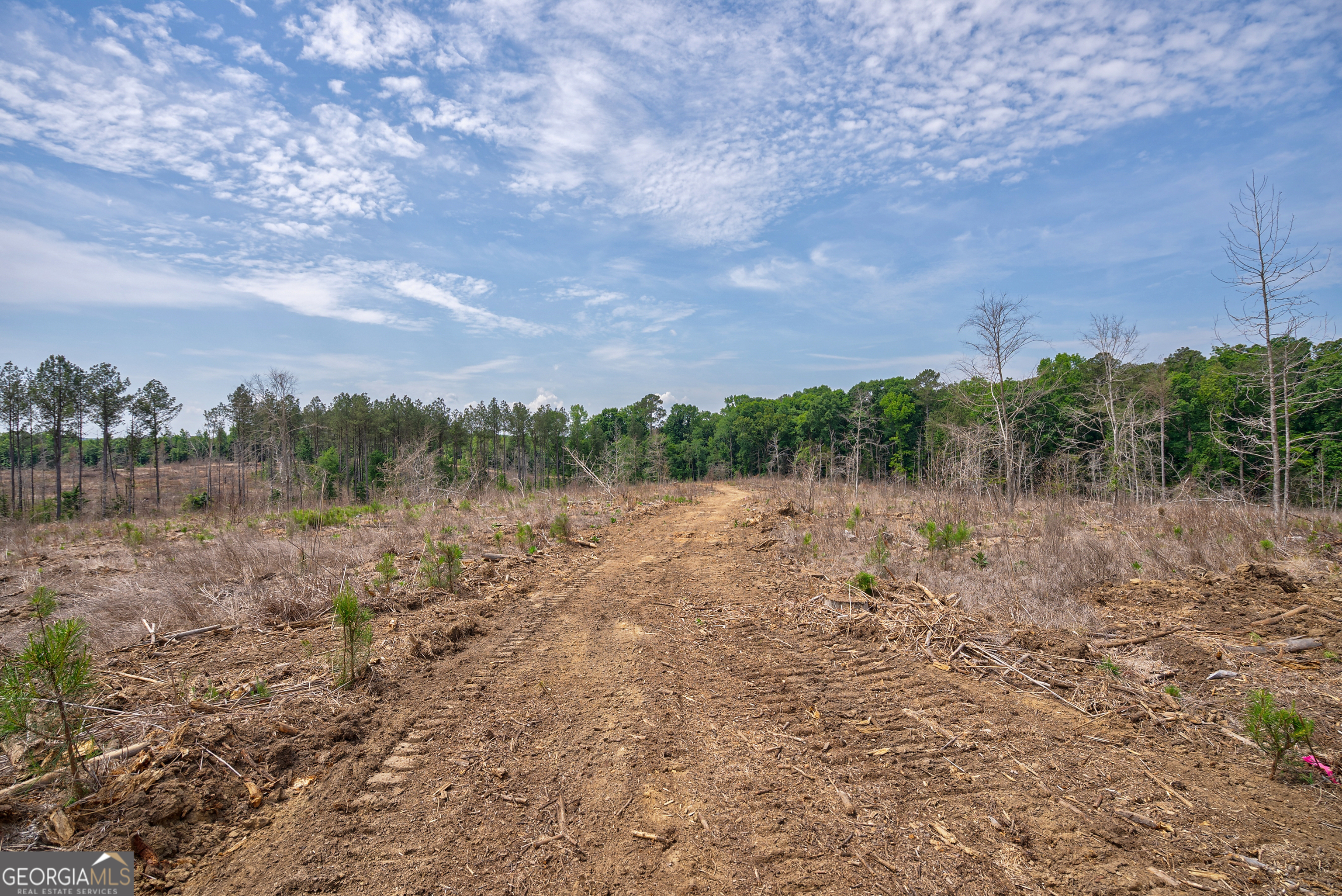 0 Gene Smith Road Carlton GA 30627