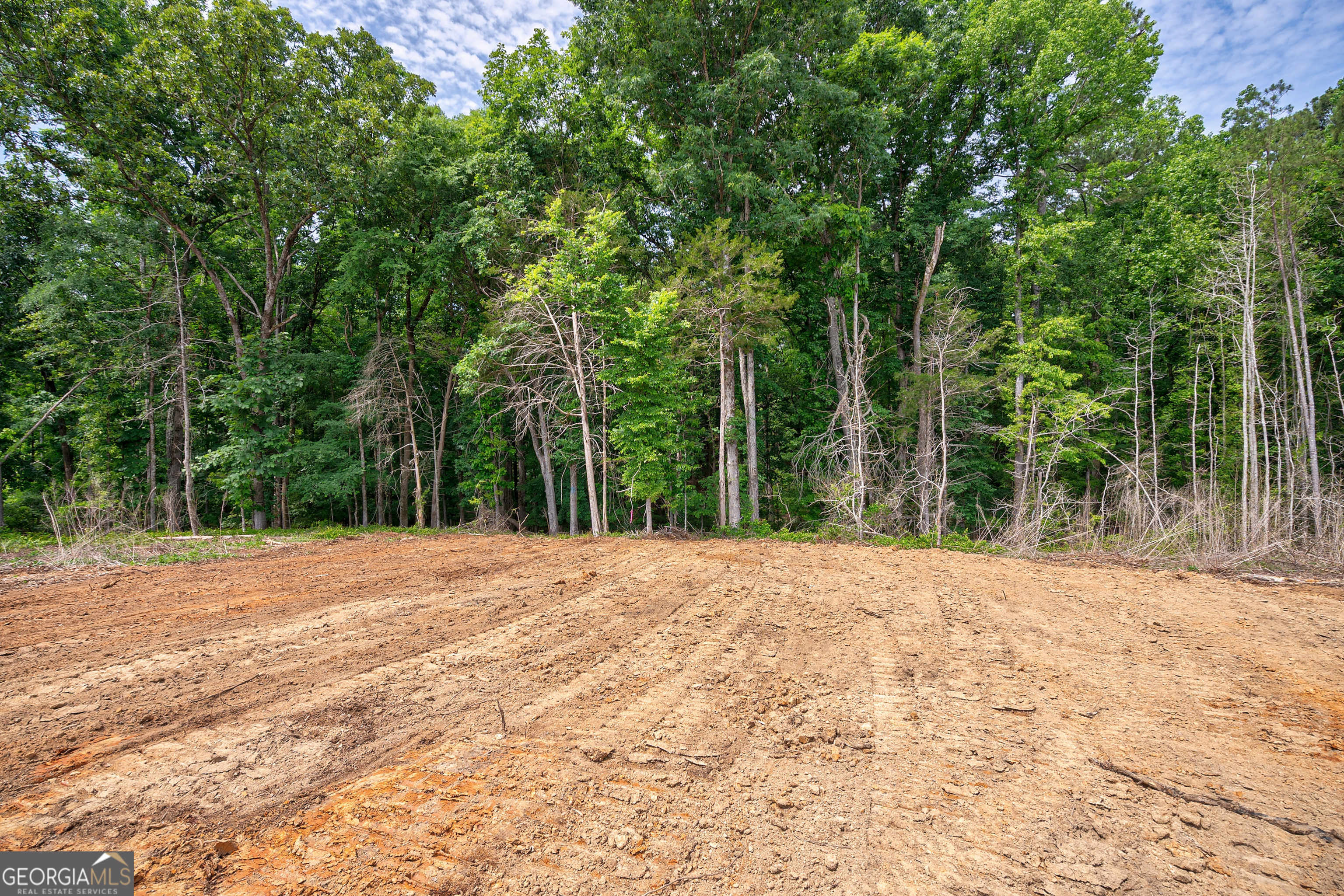 0 Gene Smith Road Carlton GA 30627