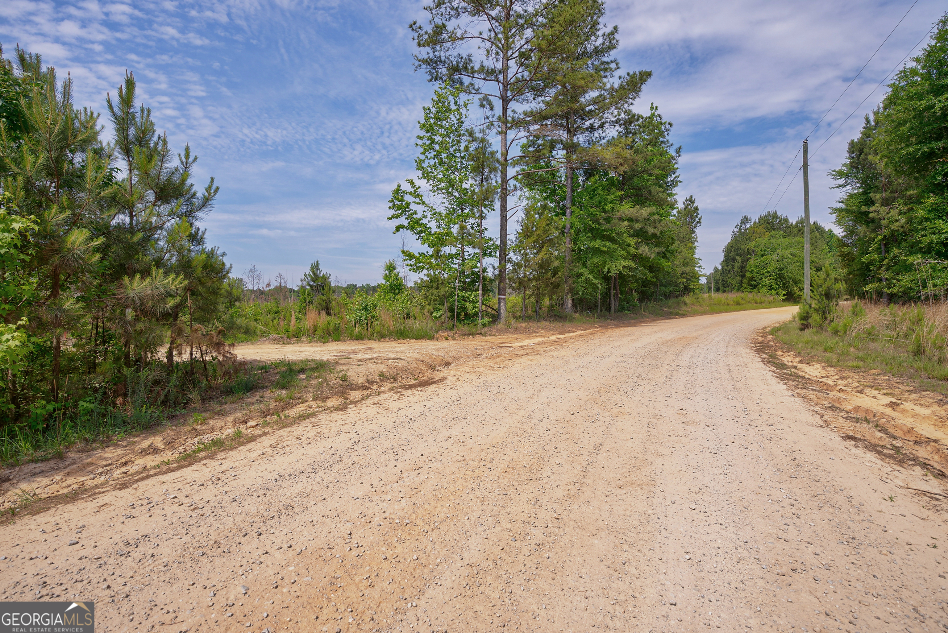 0 Gene Smith Road Carlton GA 30627