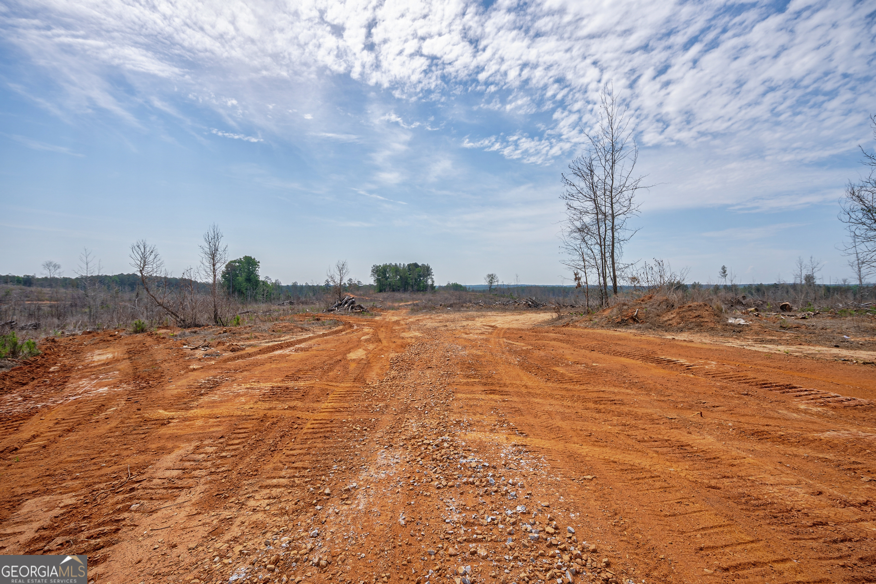 0 Gene Smith Road Carlton GA 30627