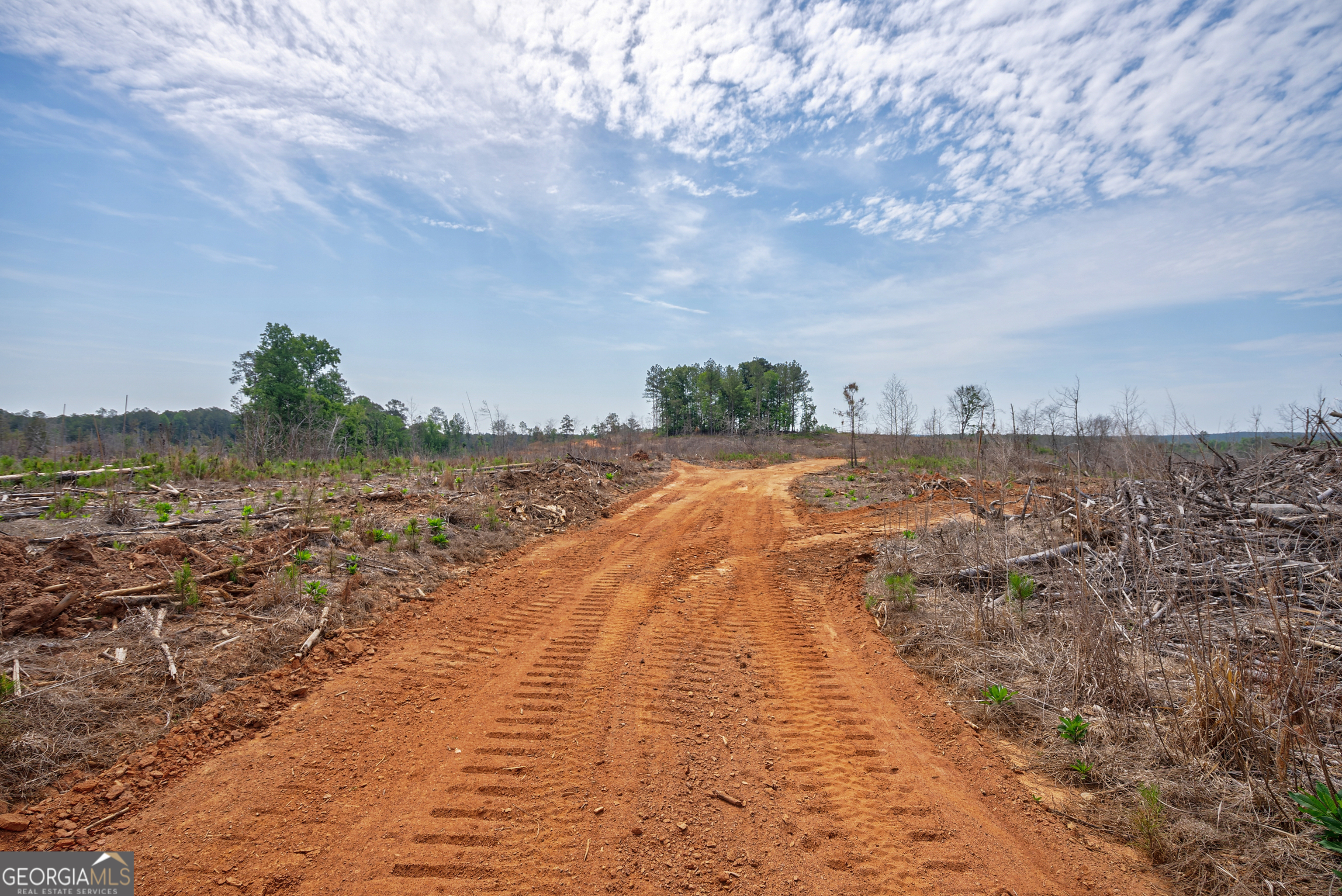 0 Gene Smith Road Carlton GA 30627