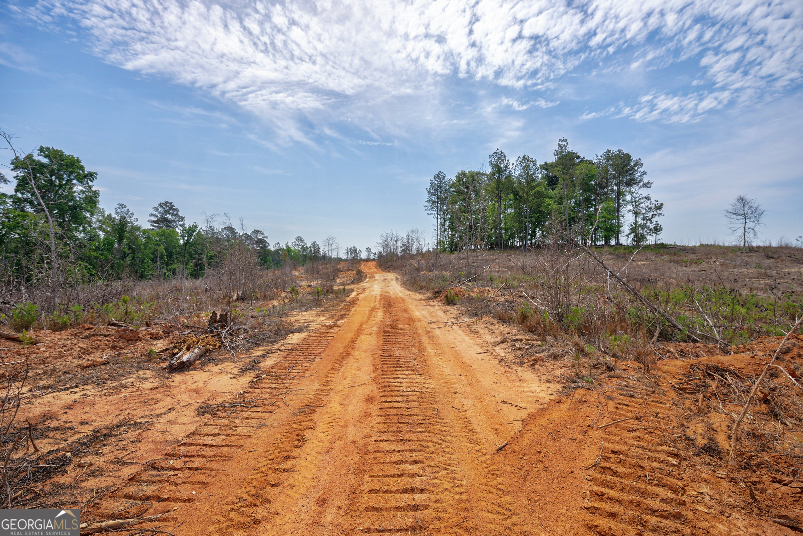 0 Gene Smith Road Carlton GA 30627