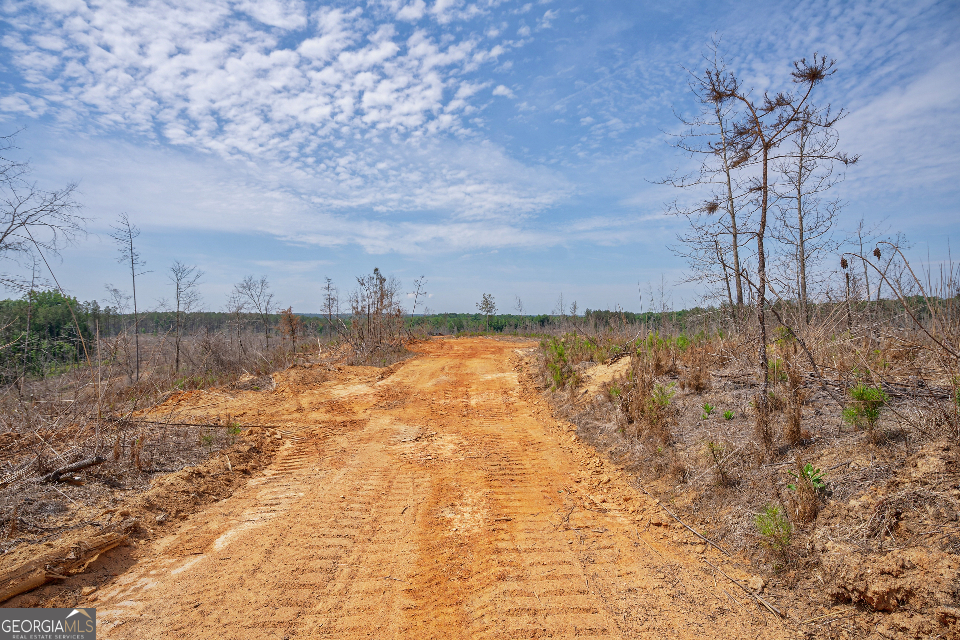 0 Gene Smith Road Carlton GA 30627