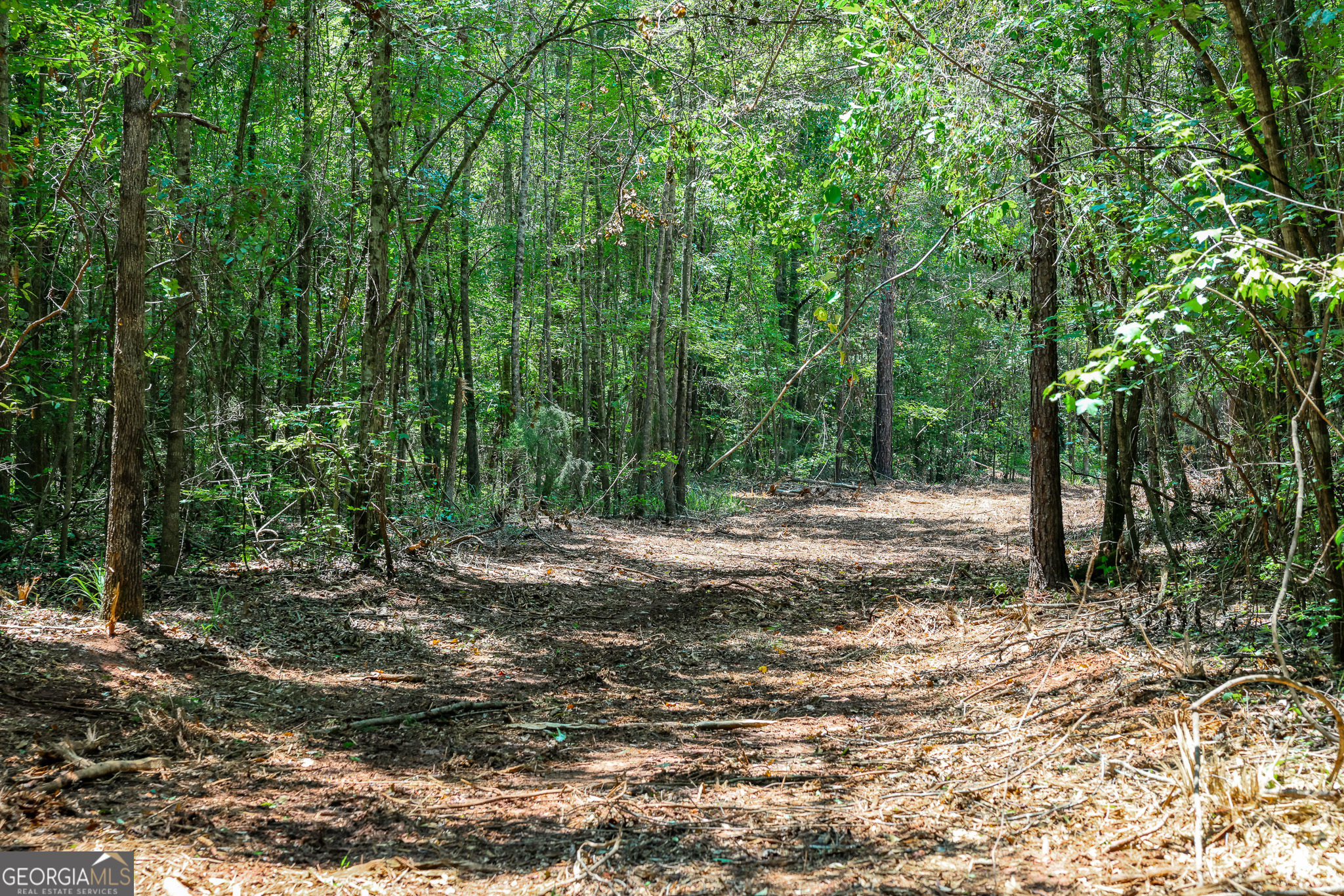 0 Pine Street Edison GA 39846