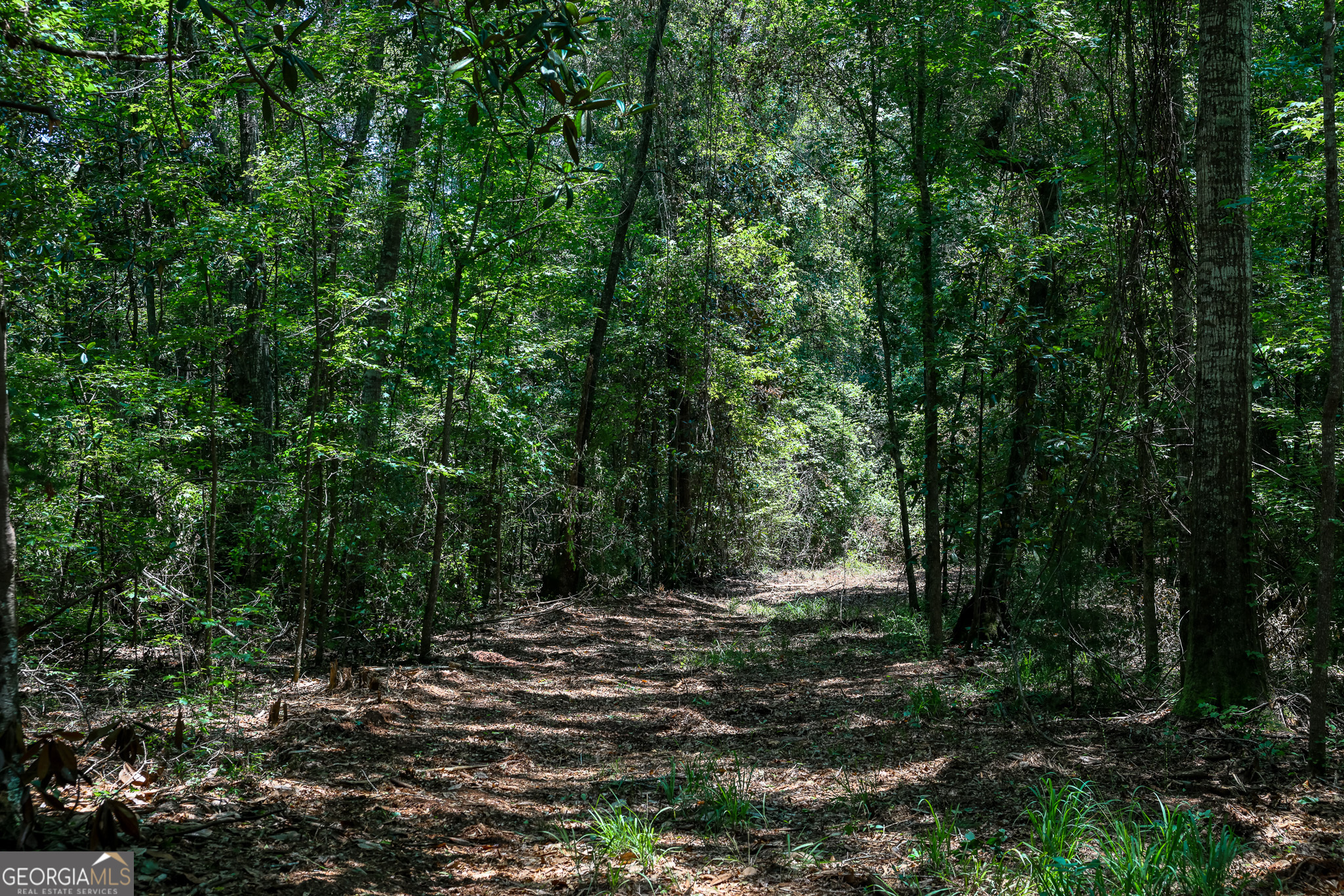 0 Pine Street Edison GA 39846
