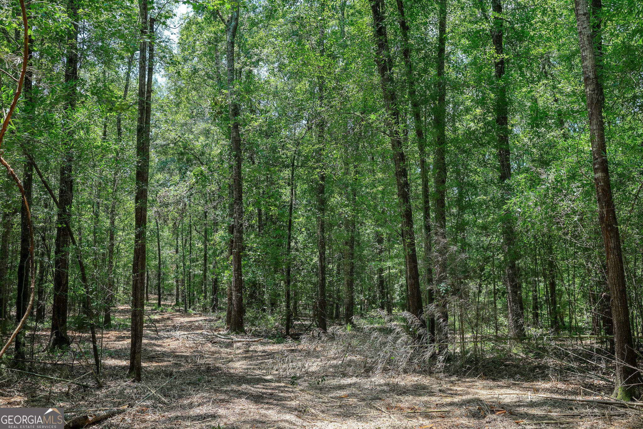 0 Pine Street Edison GA 39846